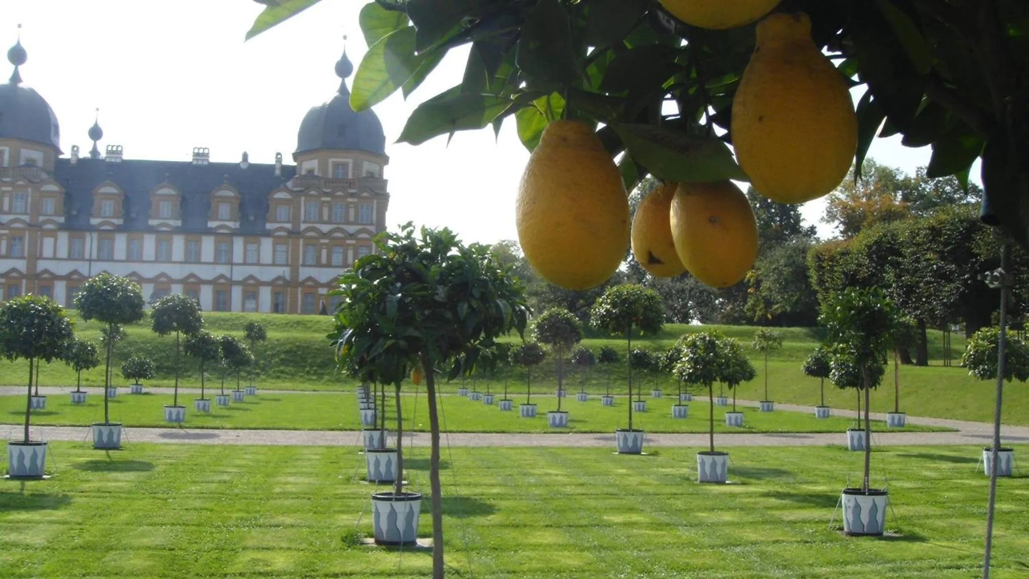Gästehaus Alter Graben 8