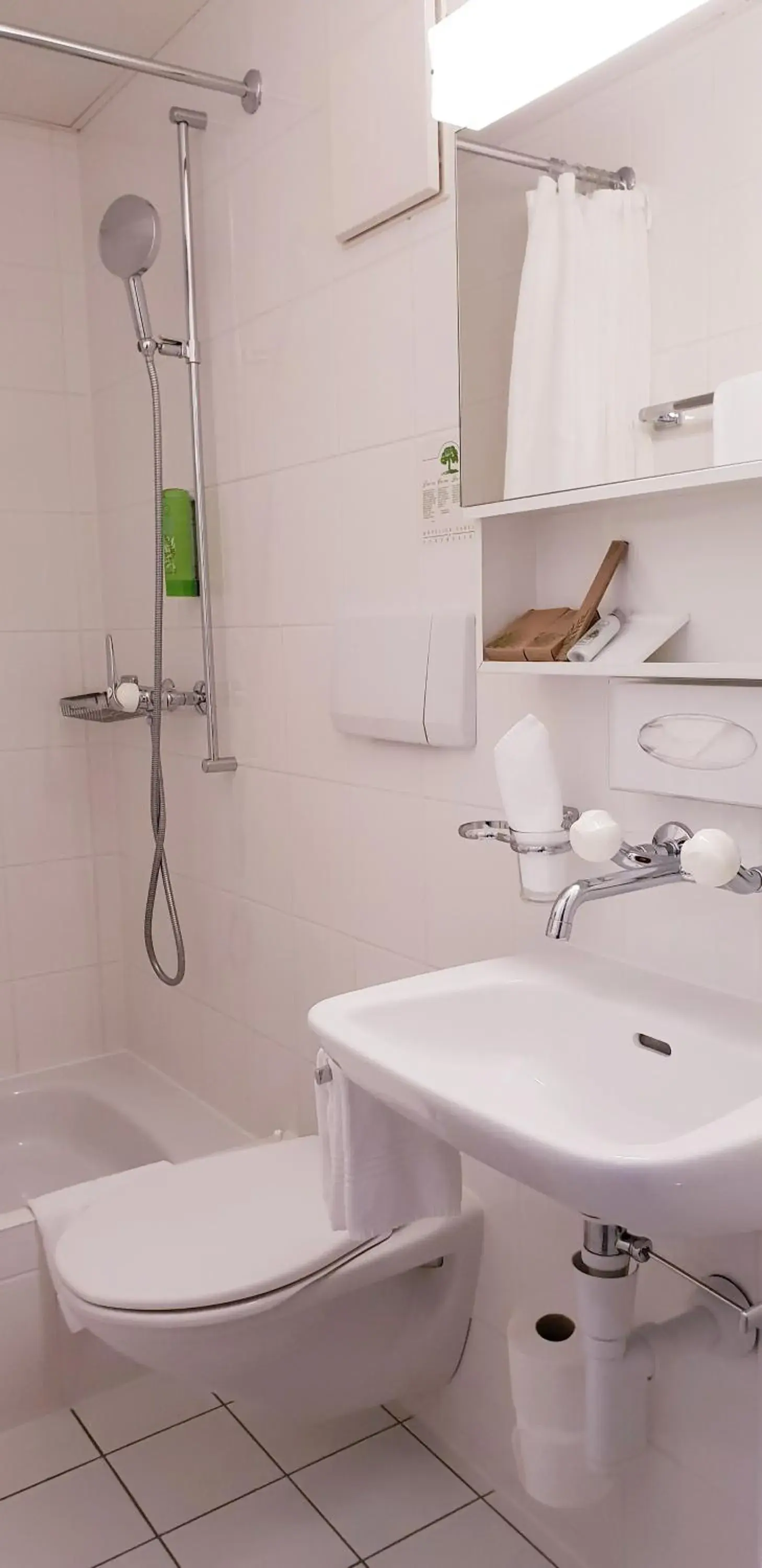 Single Room with Mountain View - single occupancy in Hotel Rosatsch Single Room with Mountain View - single occupancy in Hotel Rosatsch