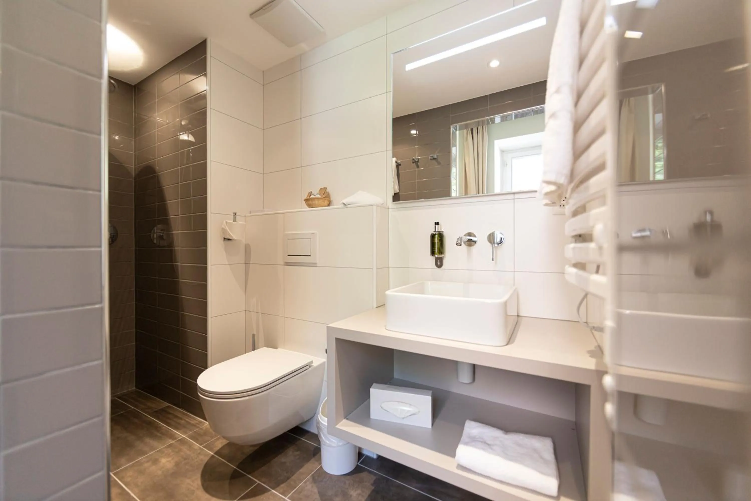 Toilet in Hotel Rosatsch