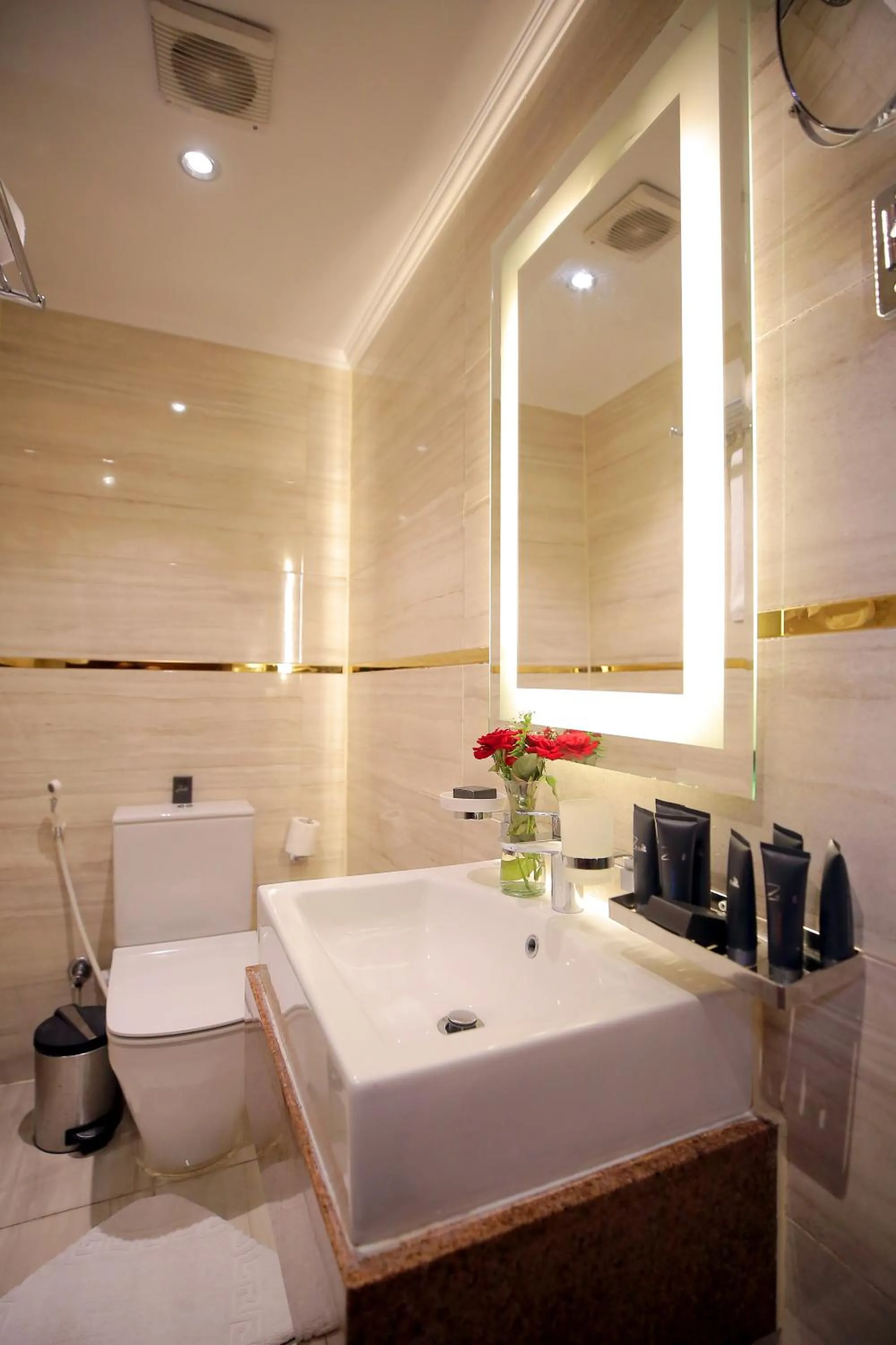 Cairo Taj Hotels & Suites - Dokki