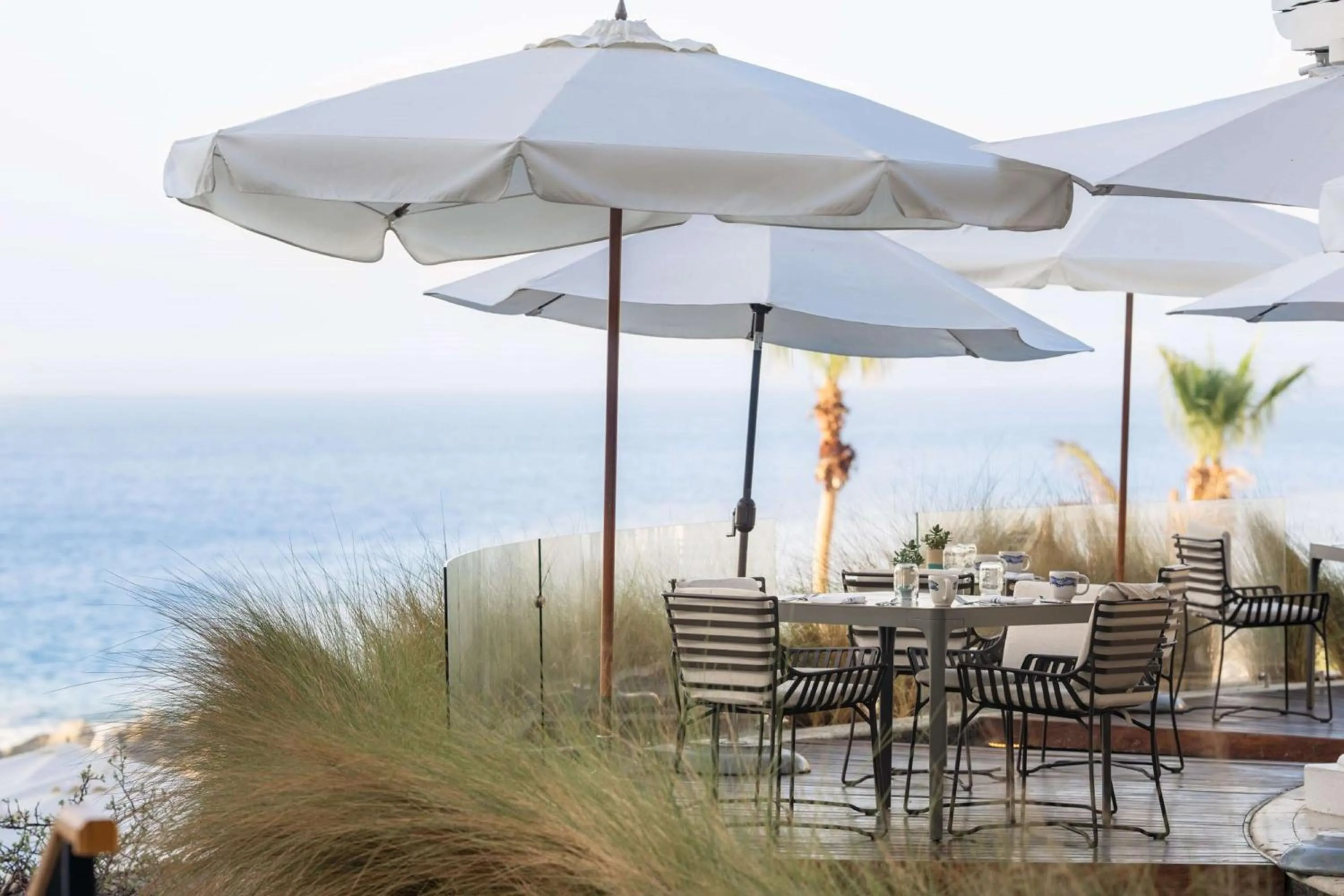 Restaurant/places to eat in Hilton Grand Vacations Club La Pacifica Los Cabos