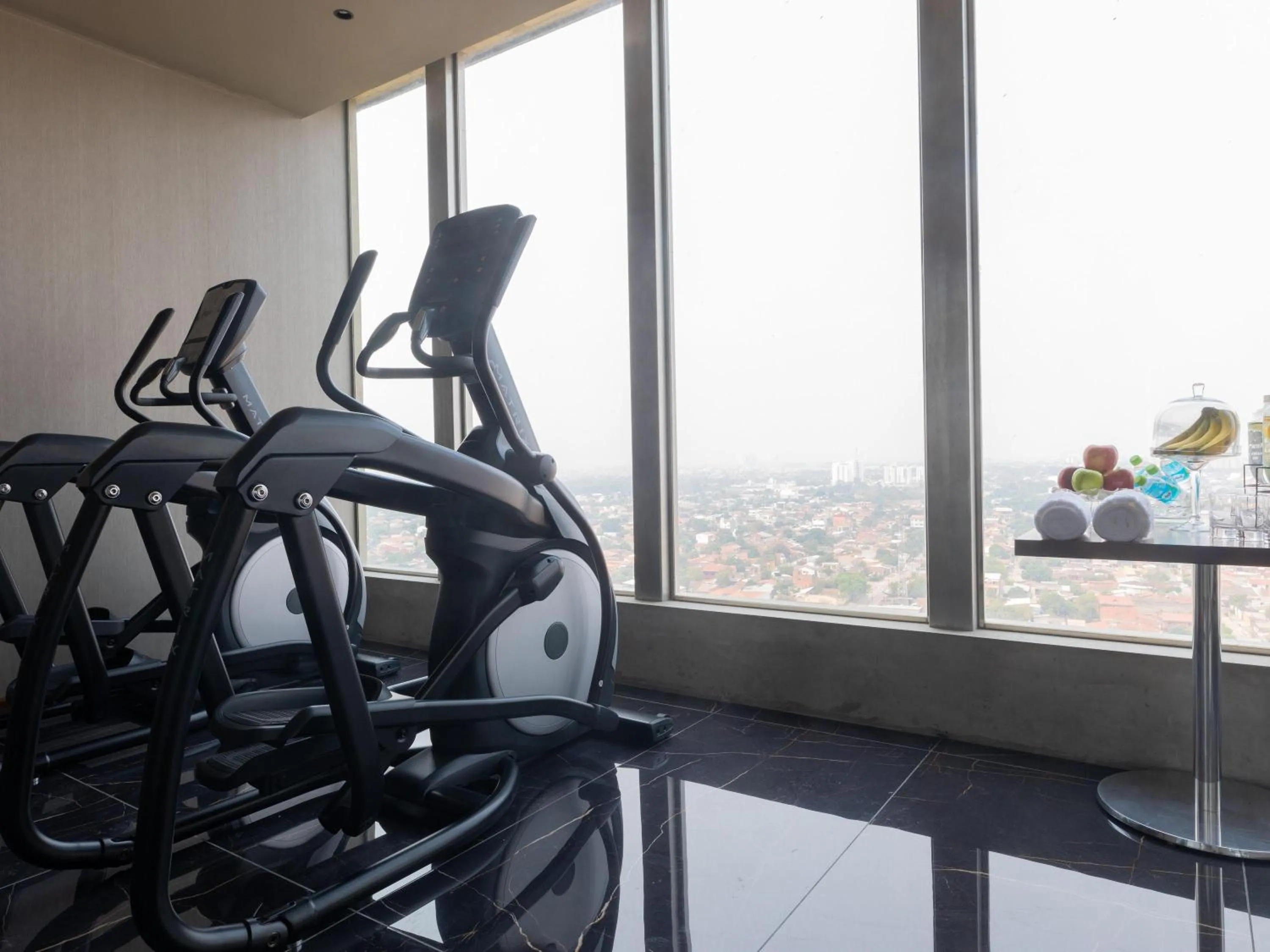 Fitness centre/facilities in Swissotel Santa Cruz de La Sierra