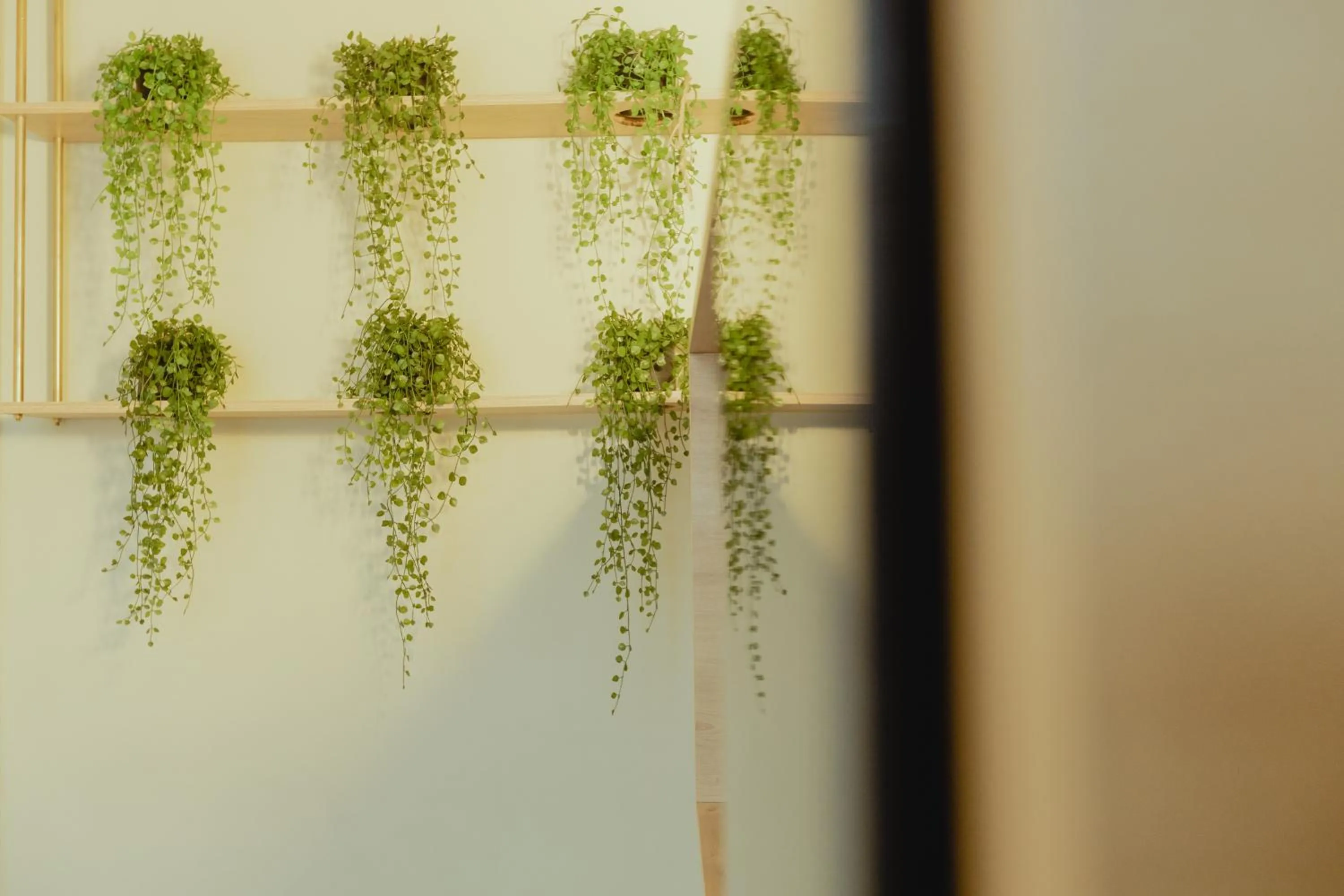 Bedroom in Metis Urbane Living Spaces