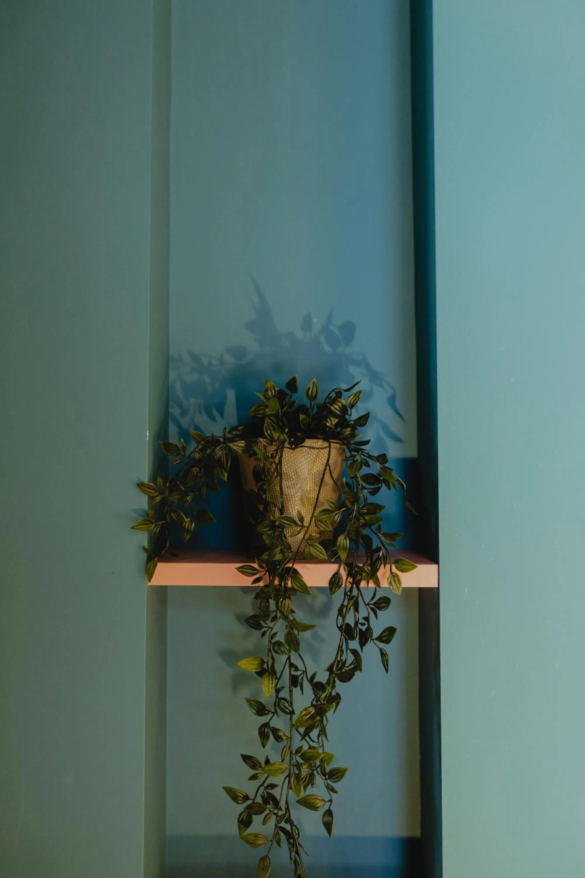 Area and facilities in Metis Urbane Living Spaces