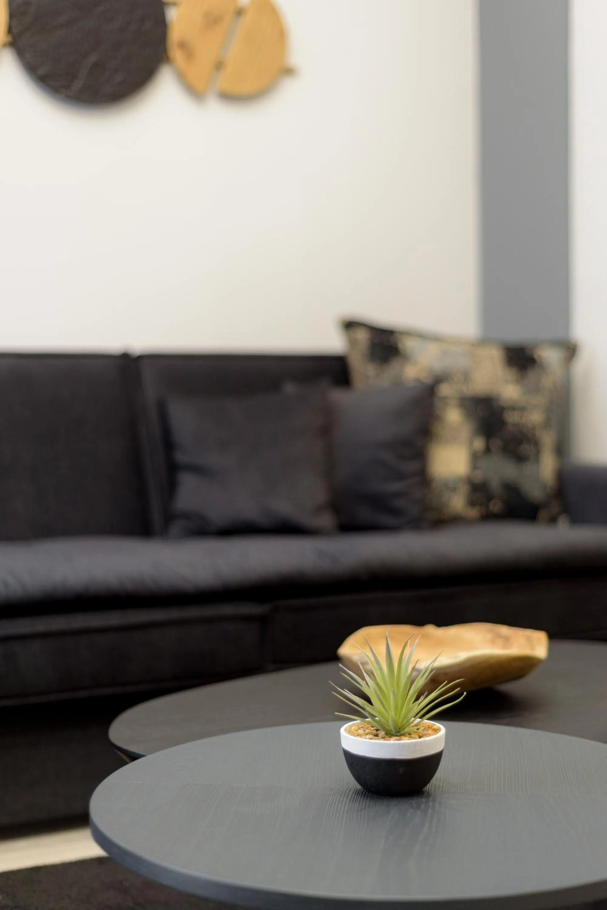 Living room in Acropolis Deluxe Apartment