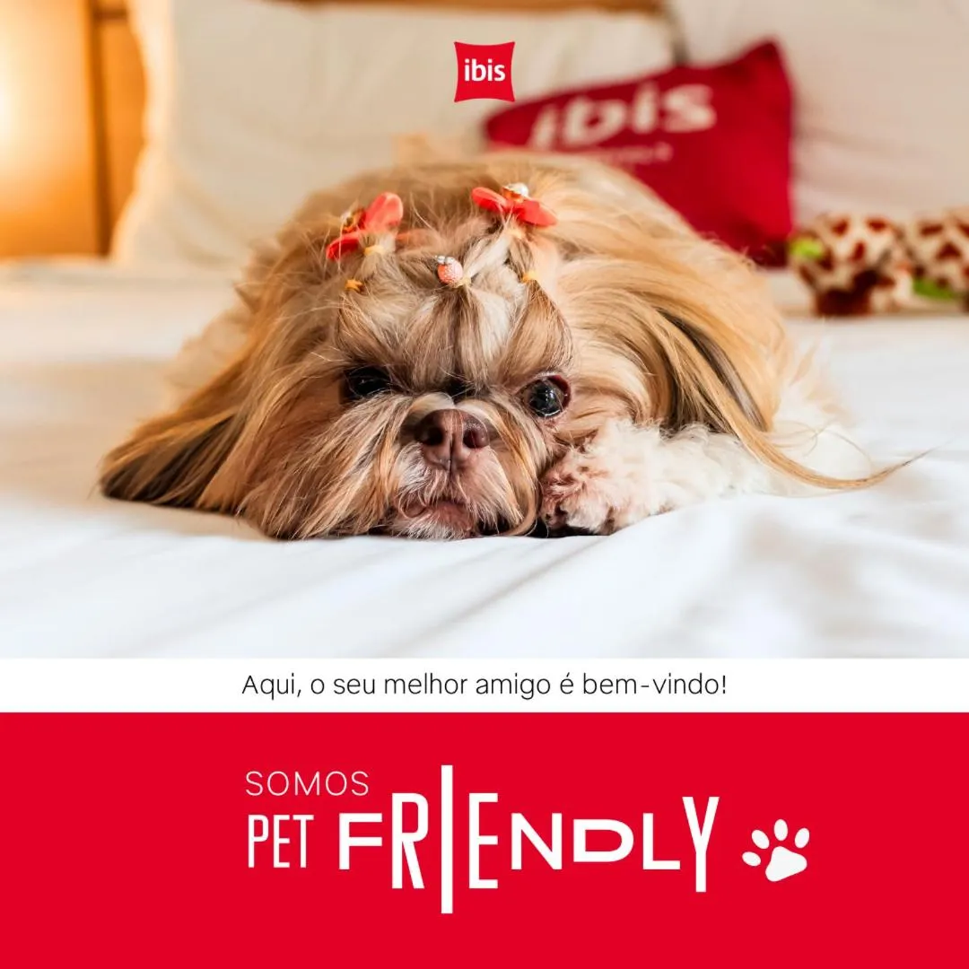 Pets in ibis Ponta Grossa