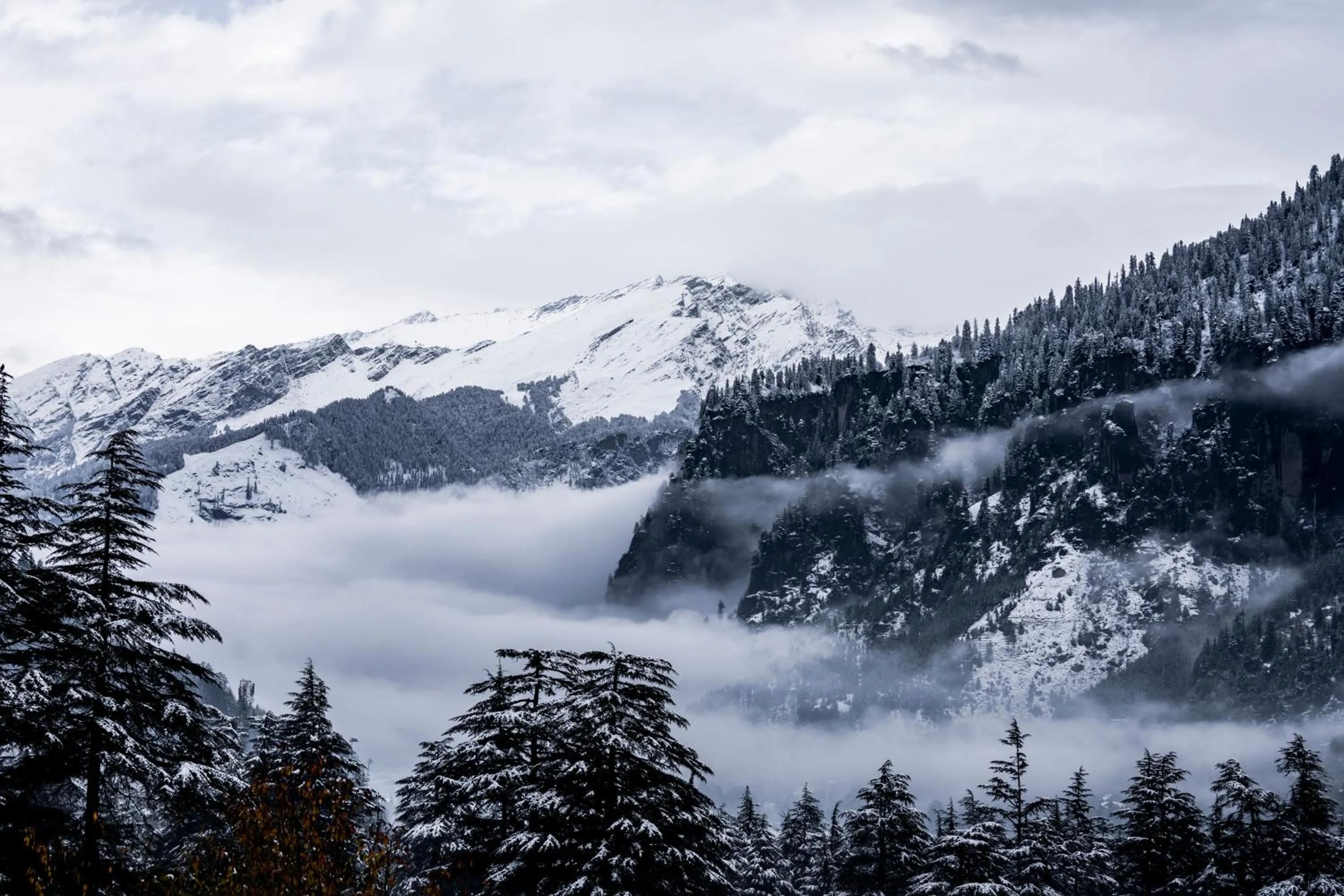 View (from property/room) in Zen Manali by Keekoo Stays