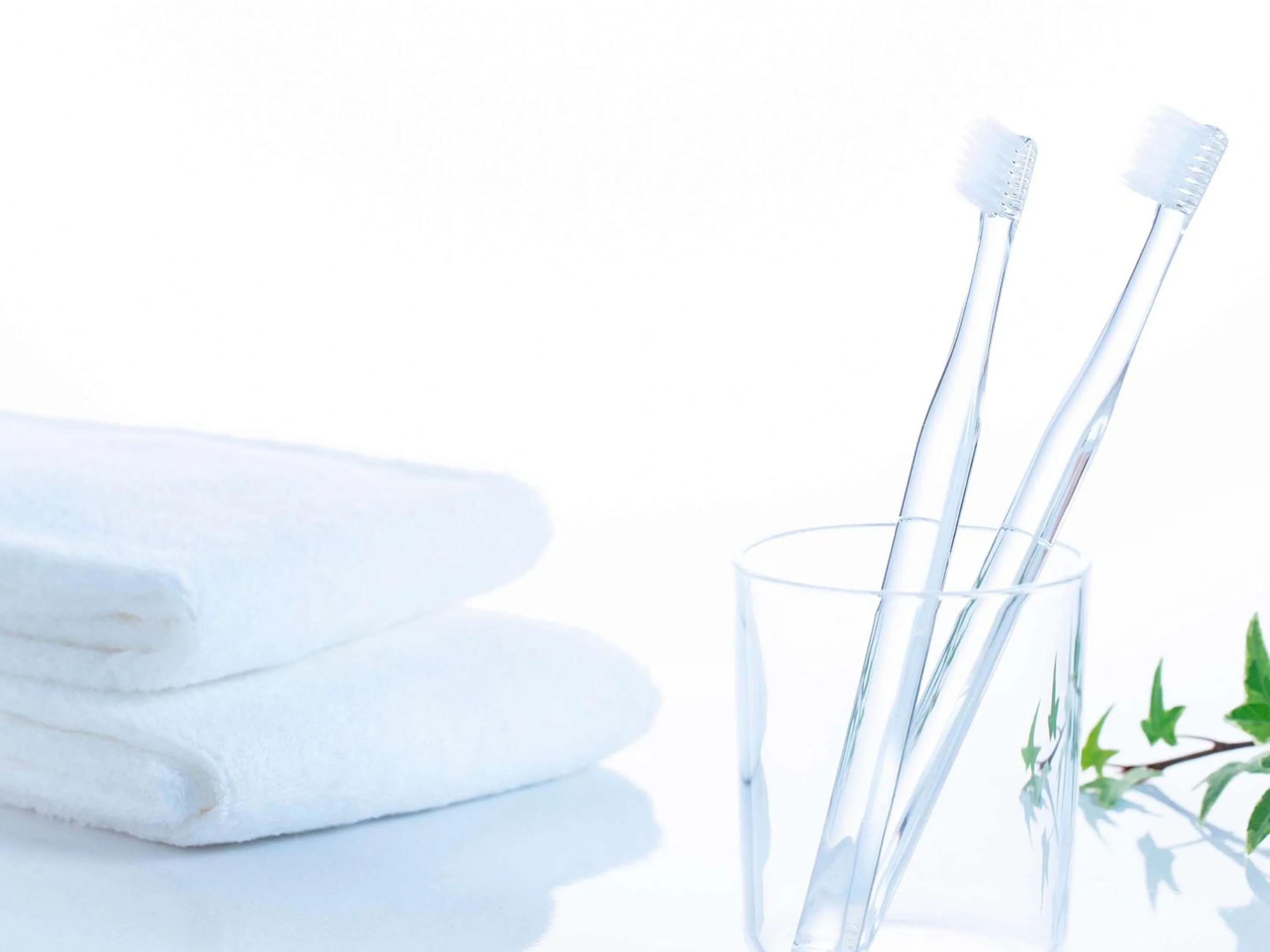 Other in Comfort Inn Omihachiman