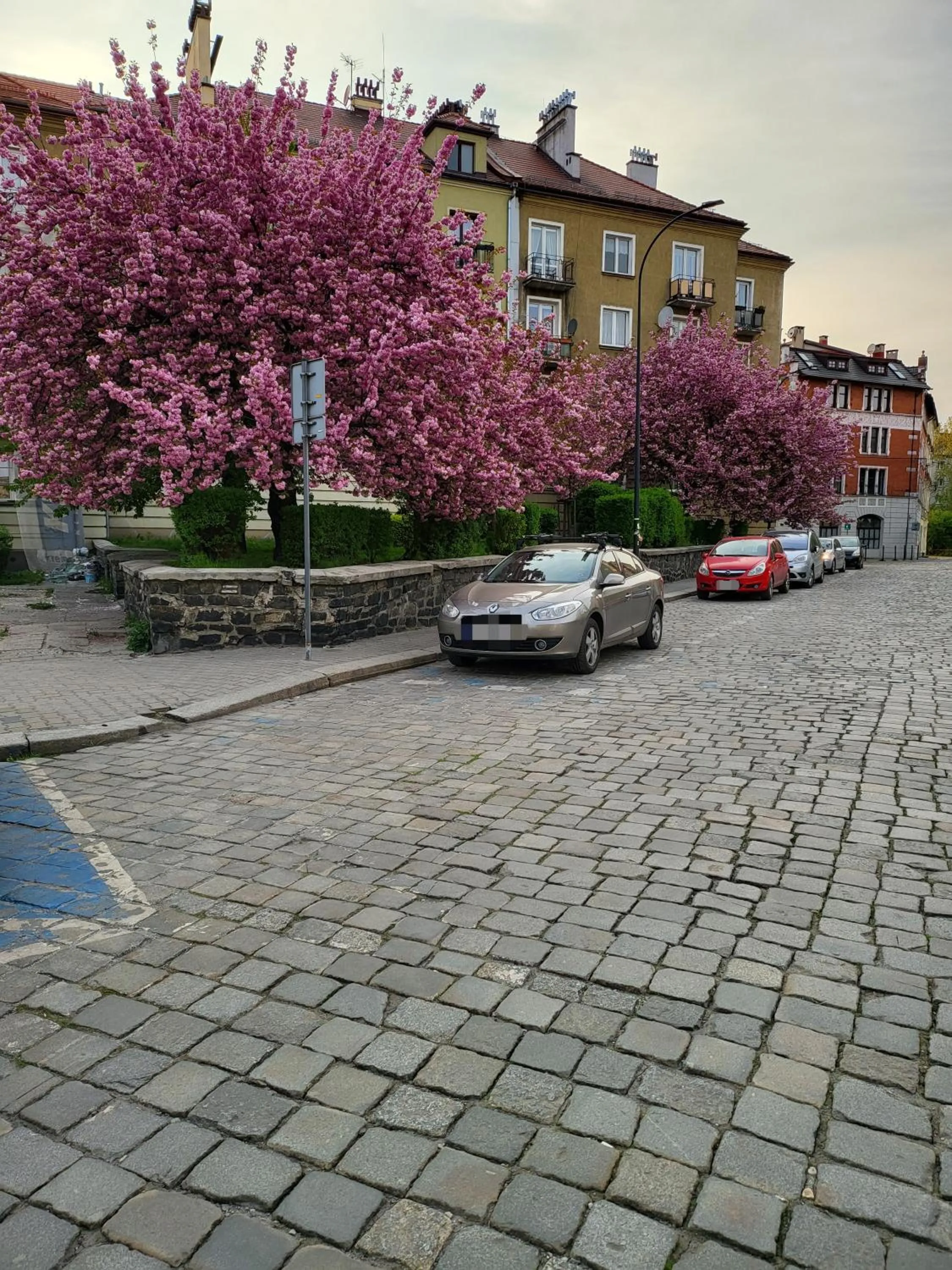 Neighbourhood in Apartamenty PRETTY WOMAN meldunek samodzielny 24h - noclegi Bytom Chorzów Katowice