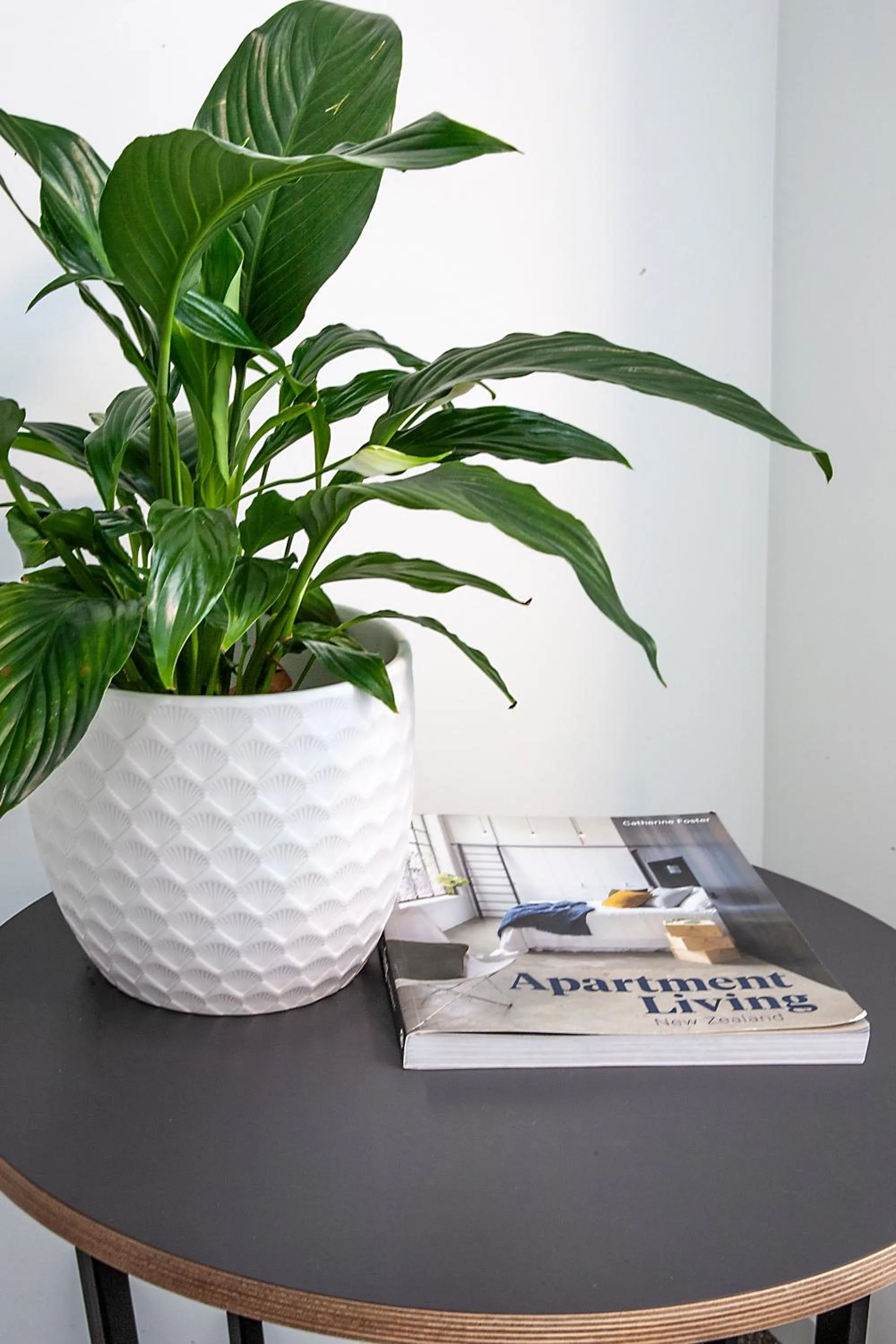 Decorative detail in Sojourn Apartment Hotel - Riddiford