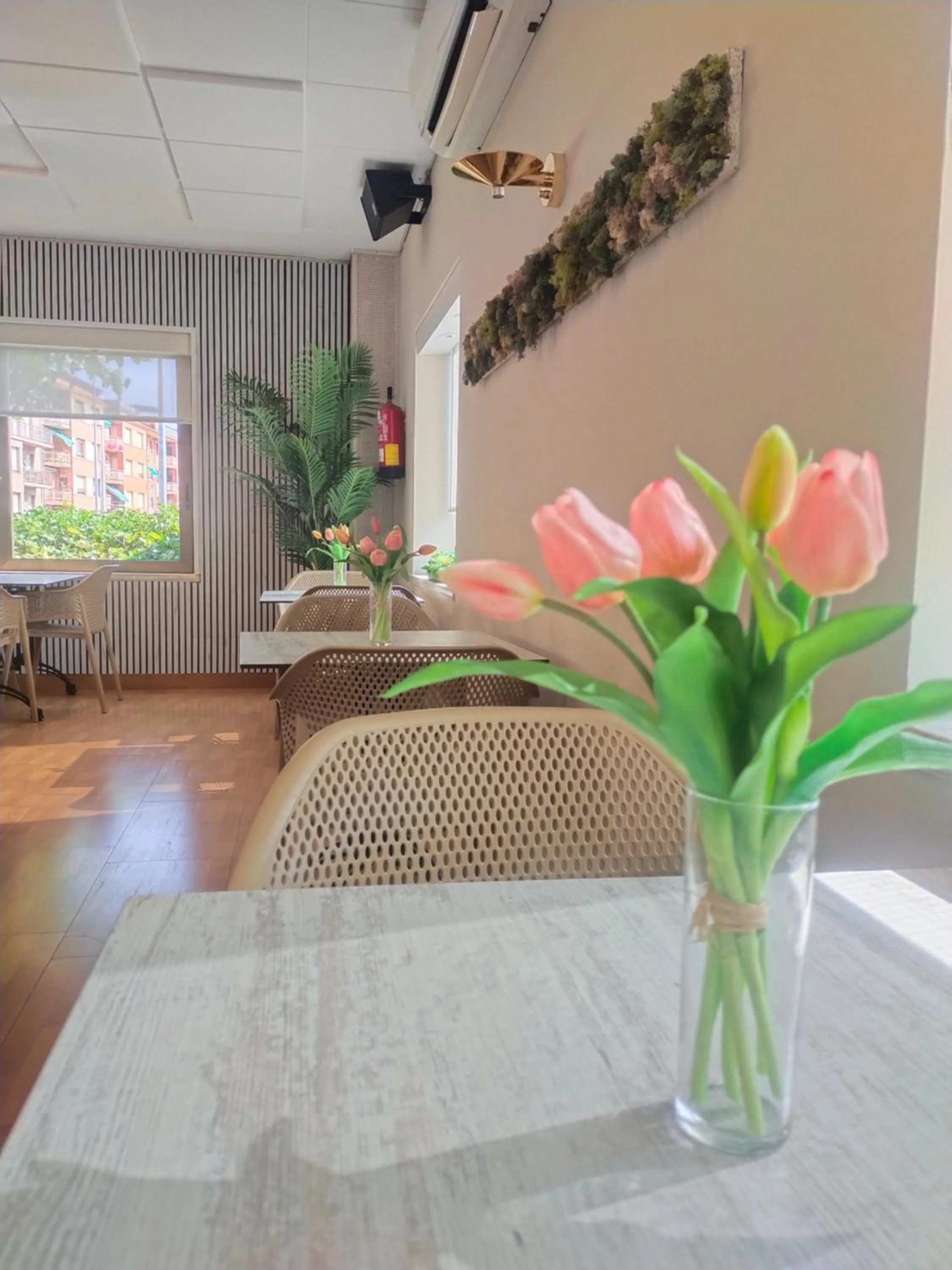 Restaurant/places to eat in Hostal Buenos Aires