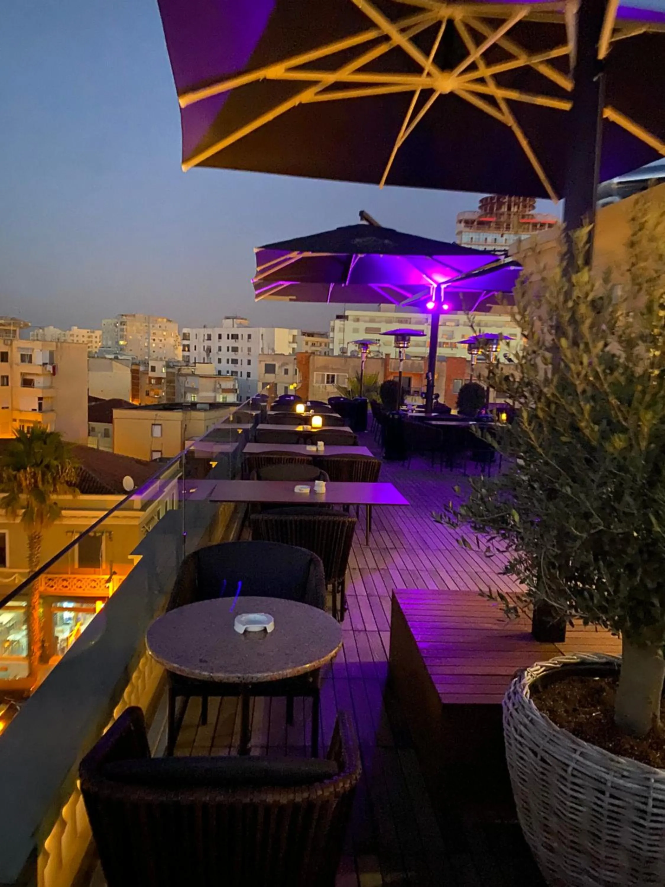 Lounge or bar in Envy Hotel