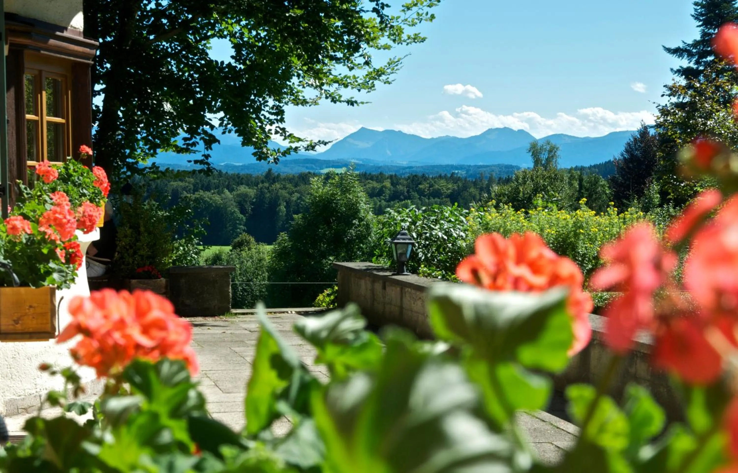Mountain view in Aschbacher Hof