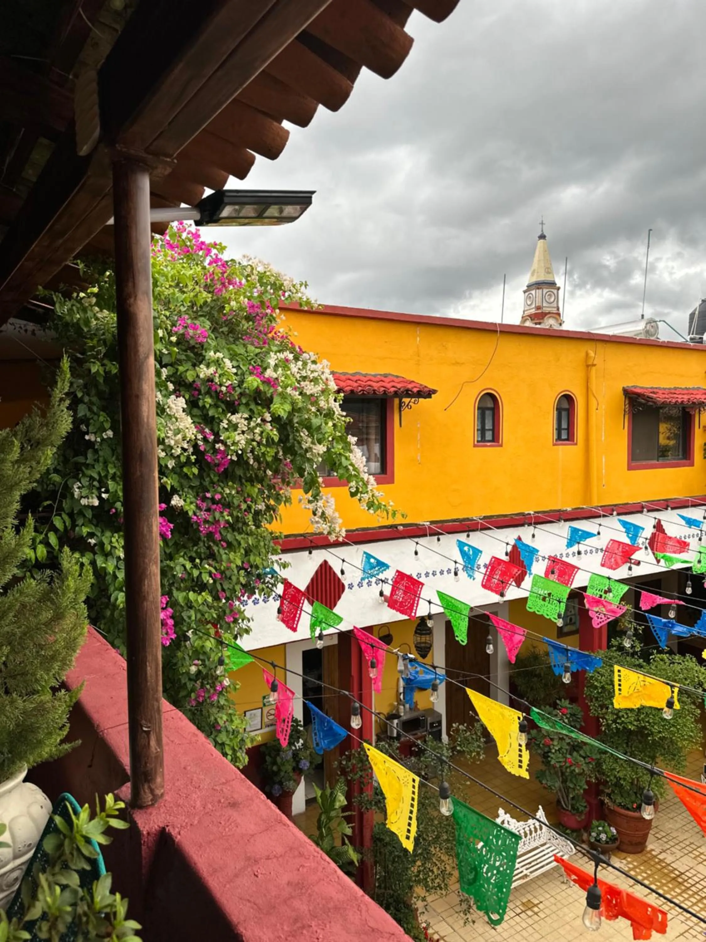 Garden in Copa de Oro Hotel Boutique