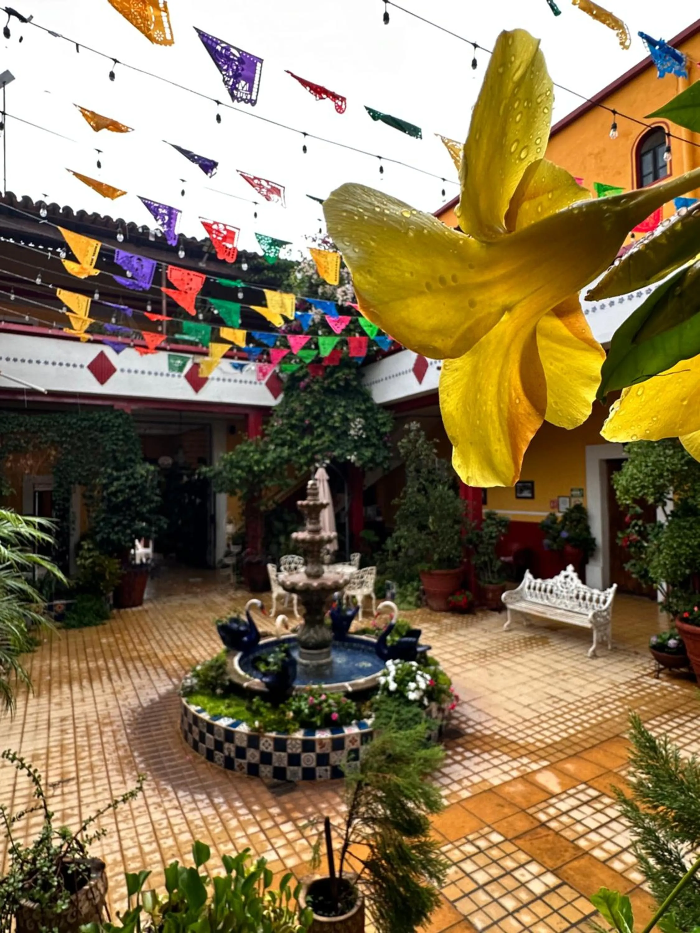 Garden in Copa de Oro Hotel Boutique