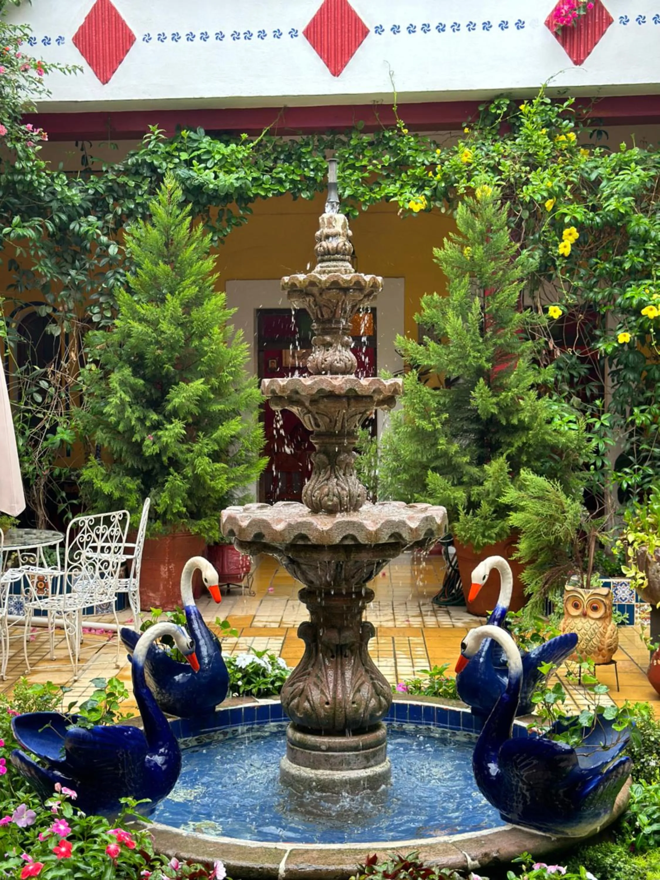 Patio in Copa de Oro Hotel Boutique