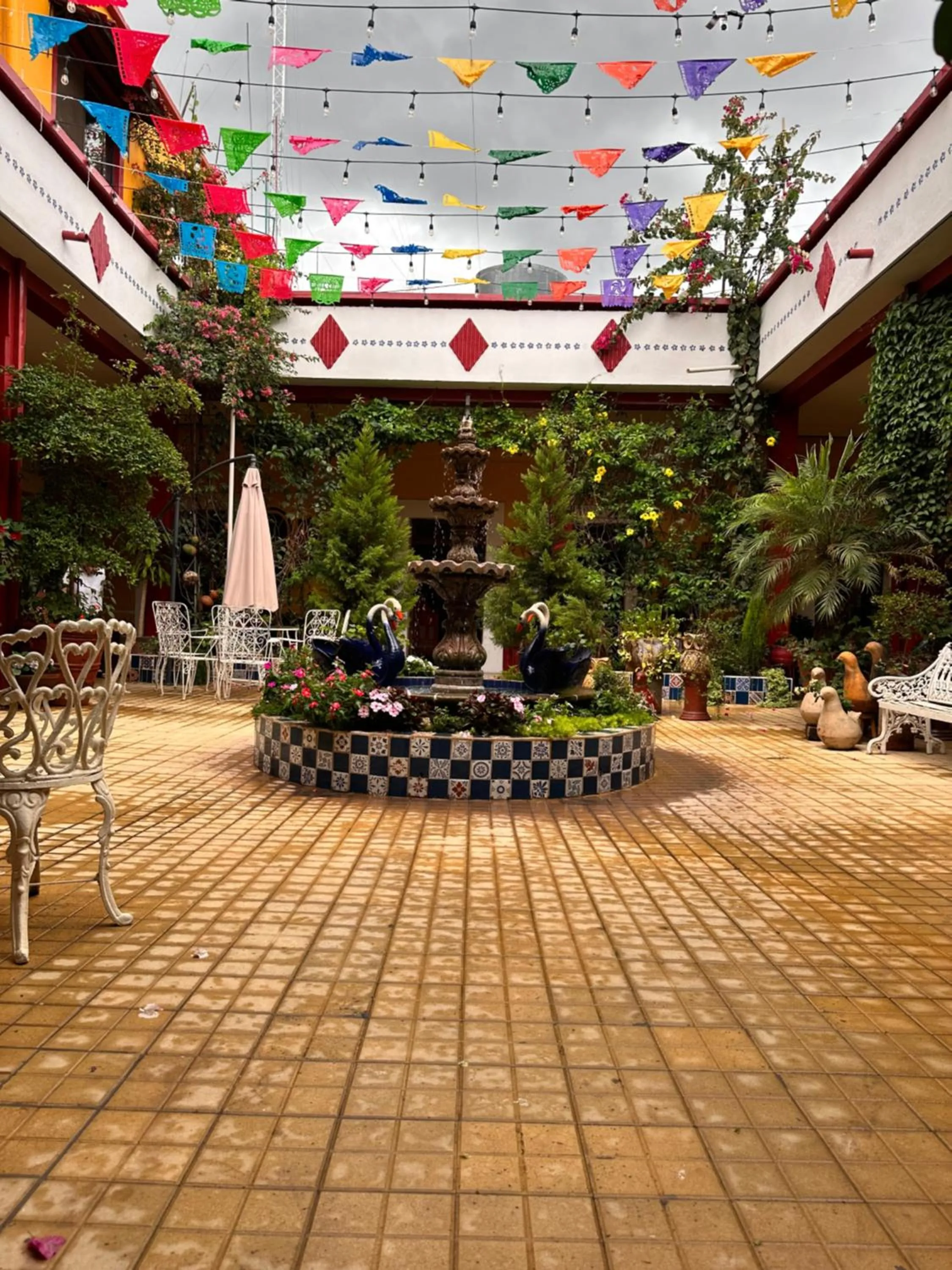 Garden in Copa de Oro Hotel Boutique