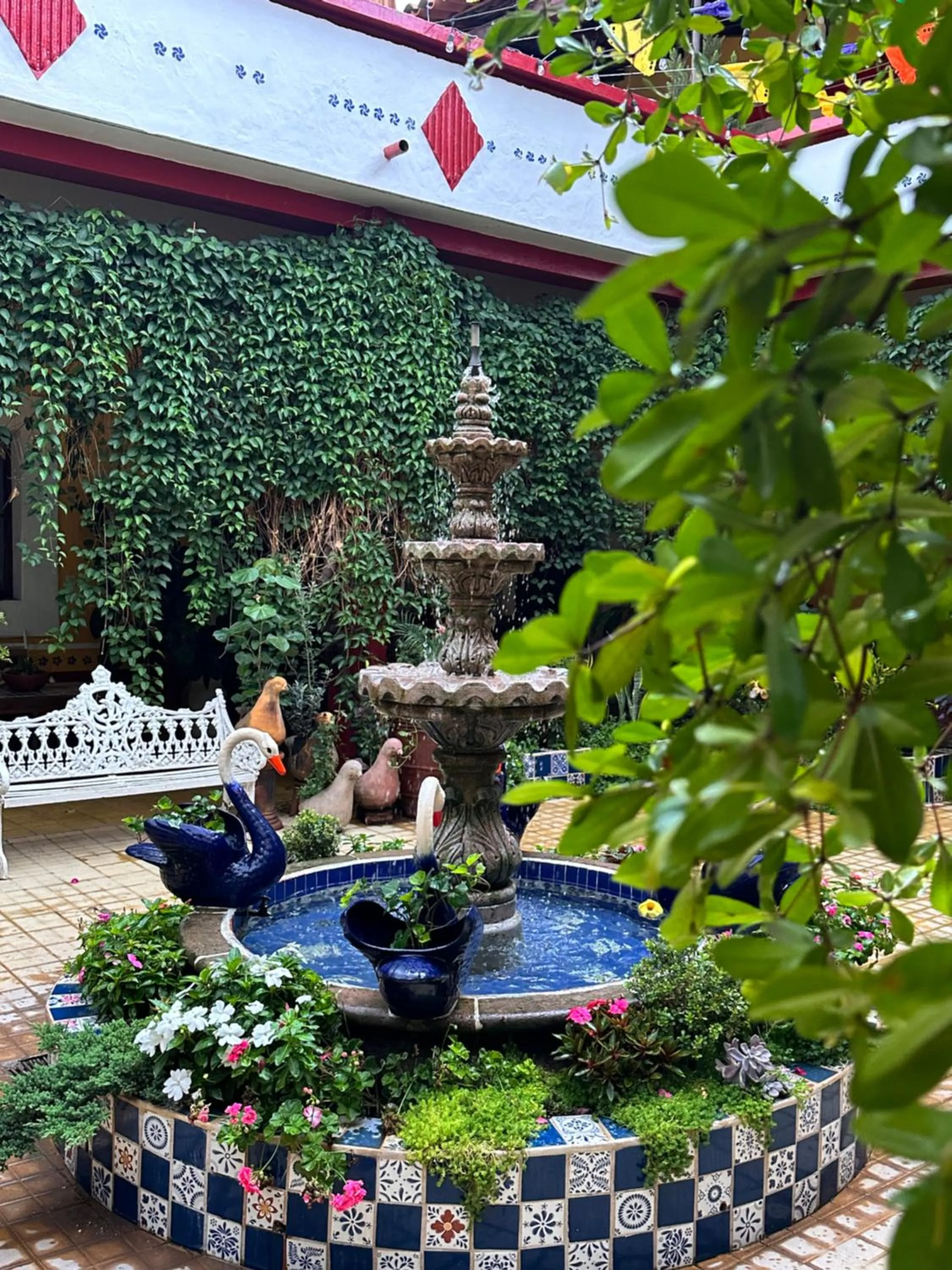 Garden in Copa de Oro Hotel Boutique