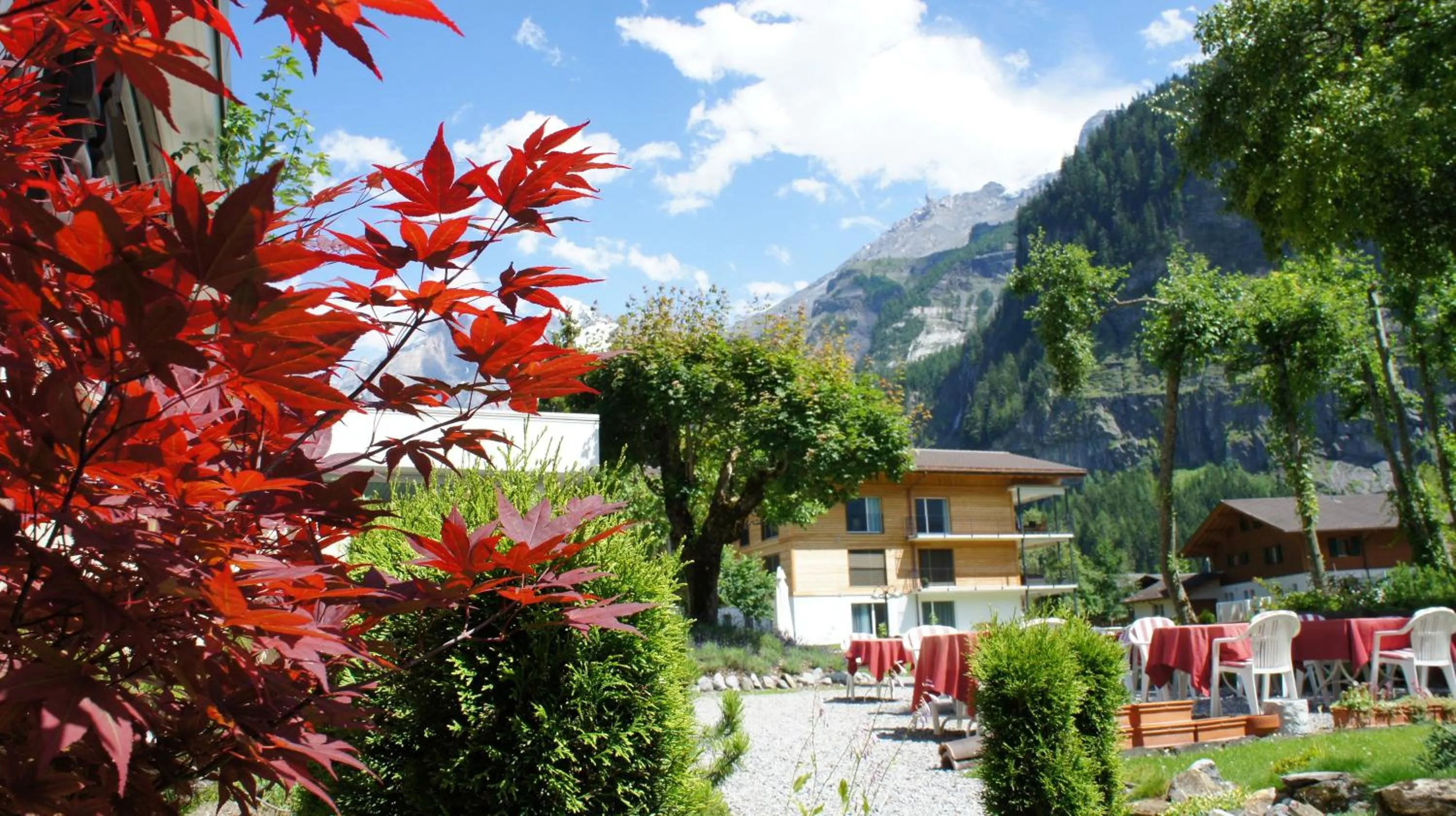 Garden in Belle Epoque Hotel Victoria & Apartments