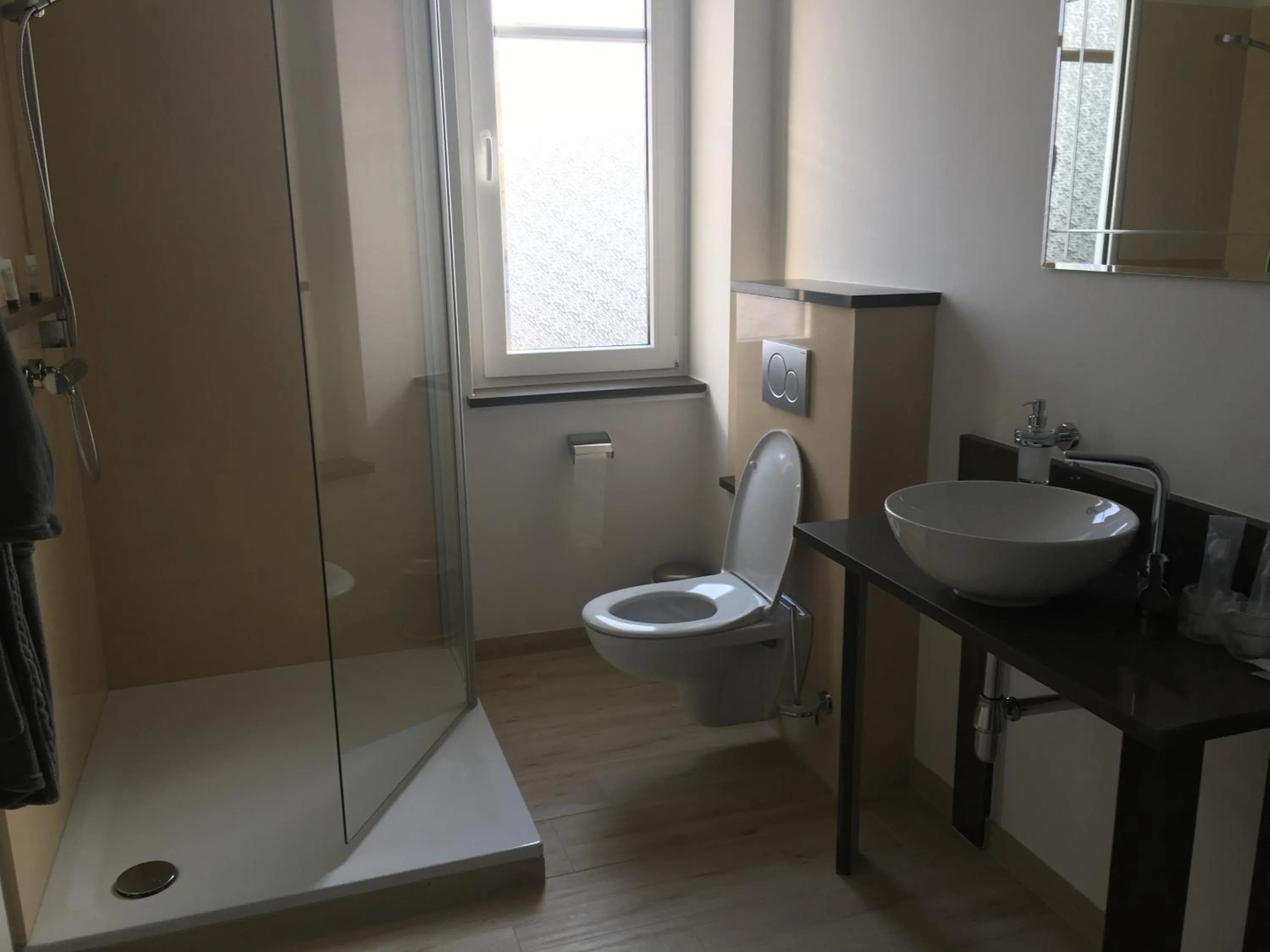 Shower in Hotel Schwarzes Ross