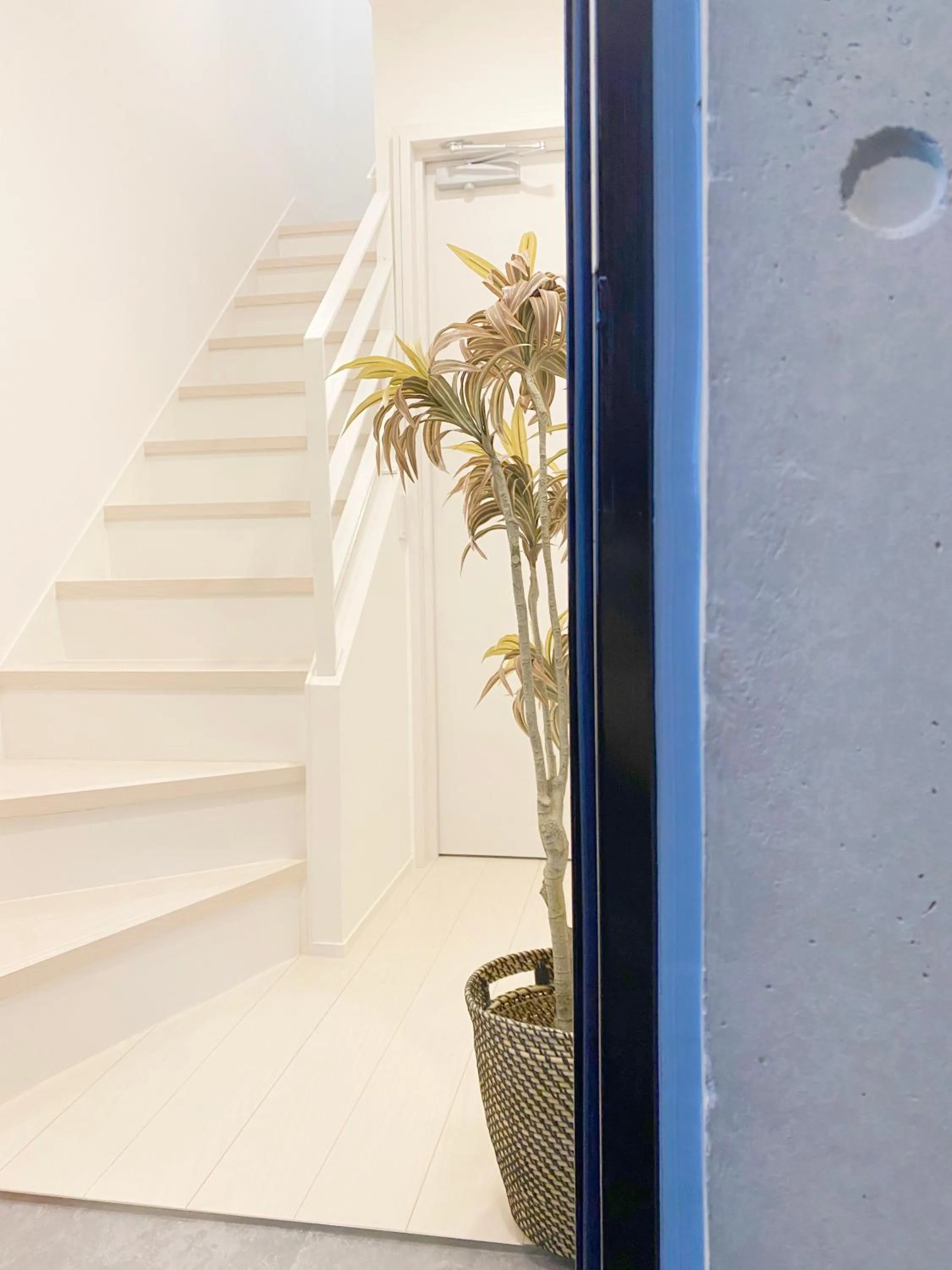 nestay apartment tokyo ginza