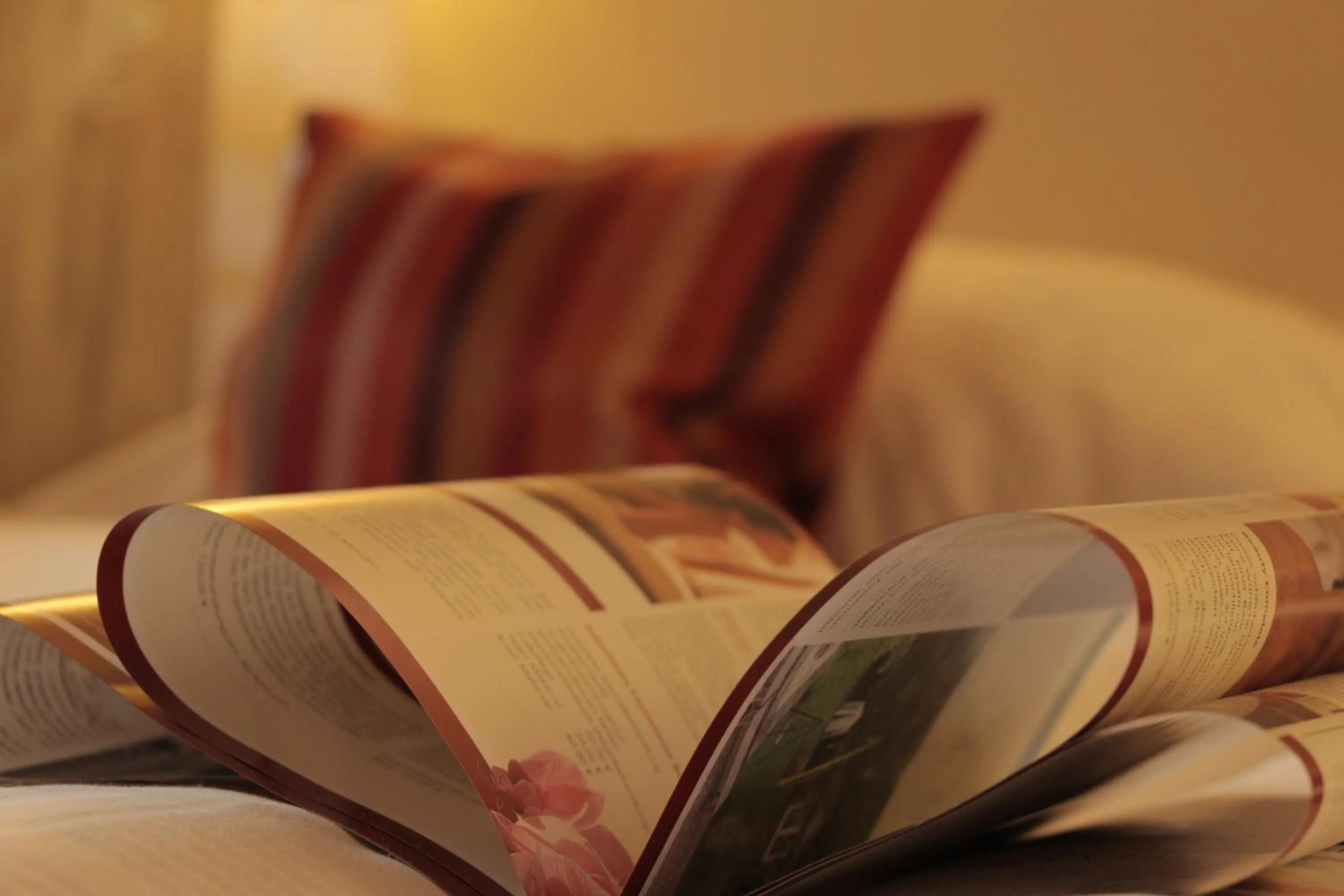 Other in Romantisches Hotel Menzhausen