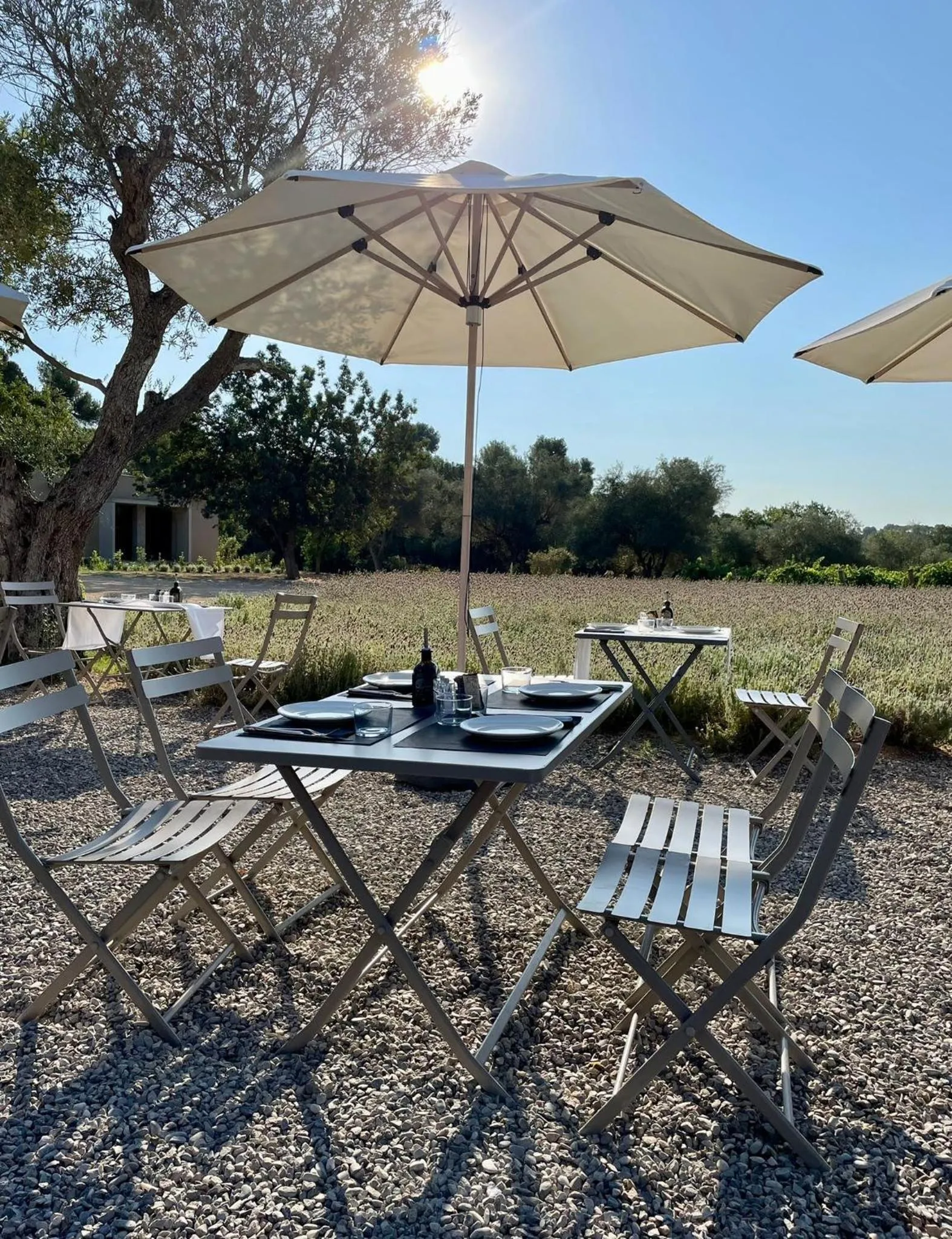 Patio in Hotel Mas del Sol