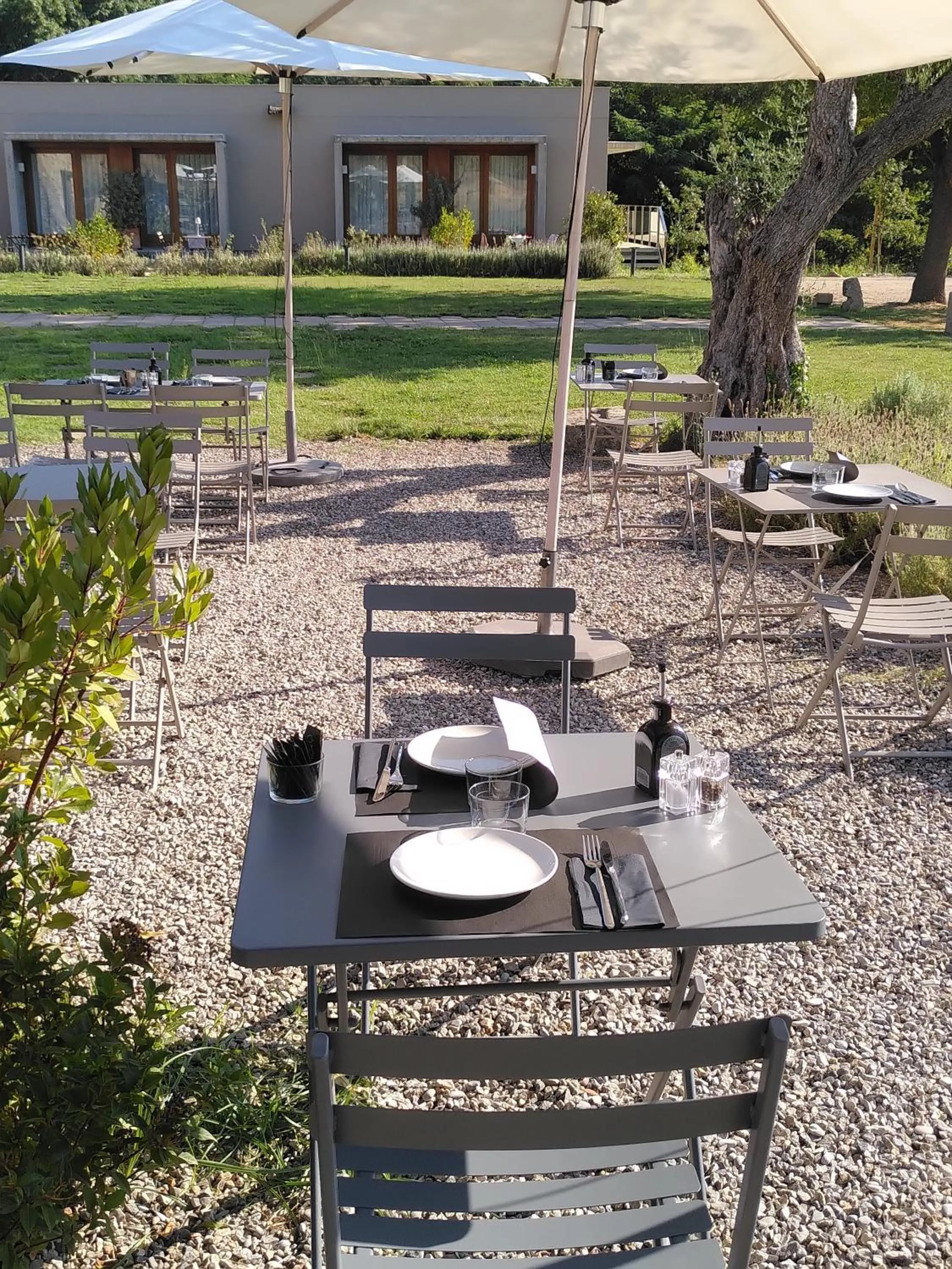 Patio in Hotel Mas del Sol