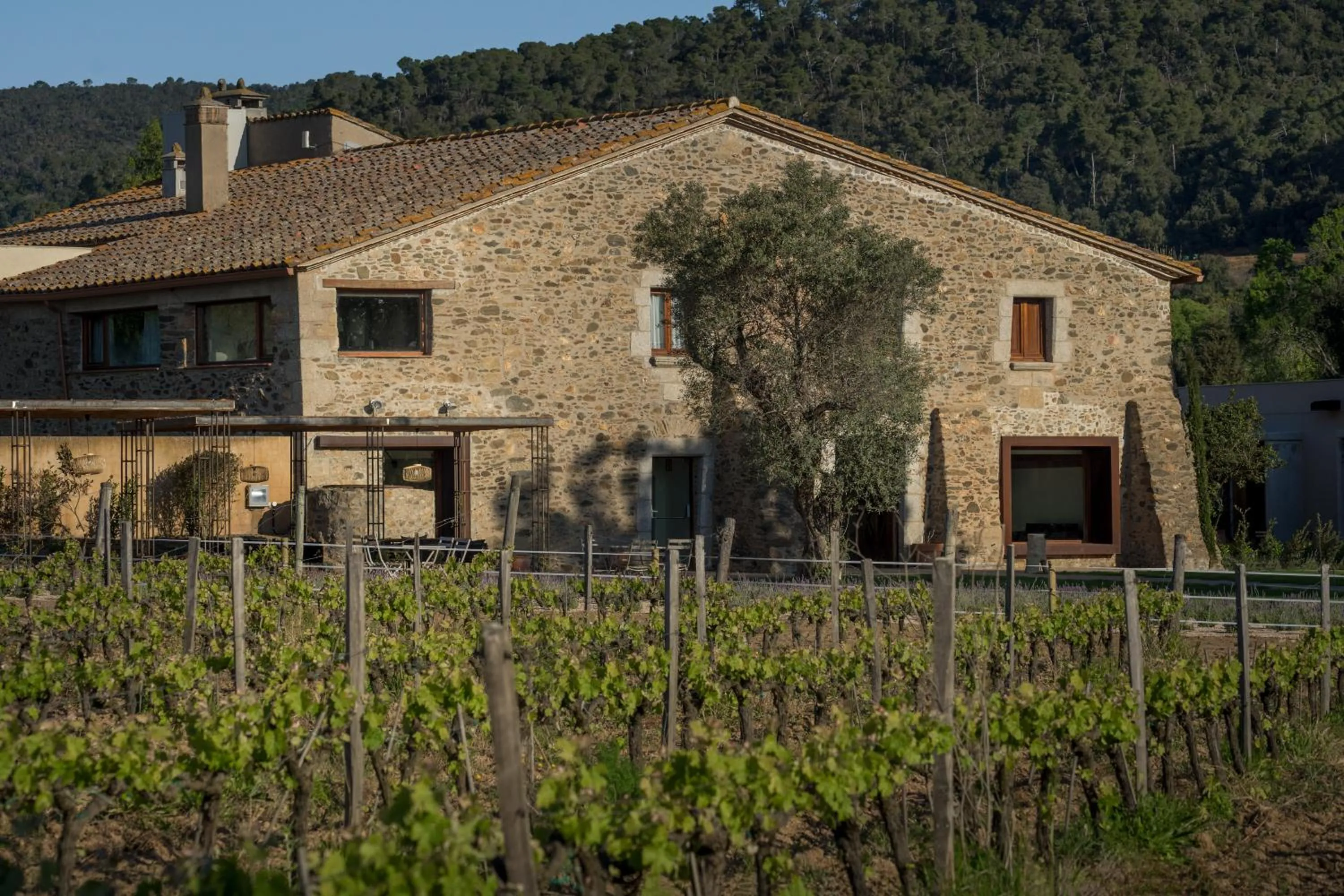 Property building in Hotel Mas del Sol