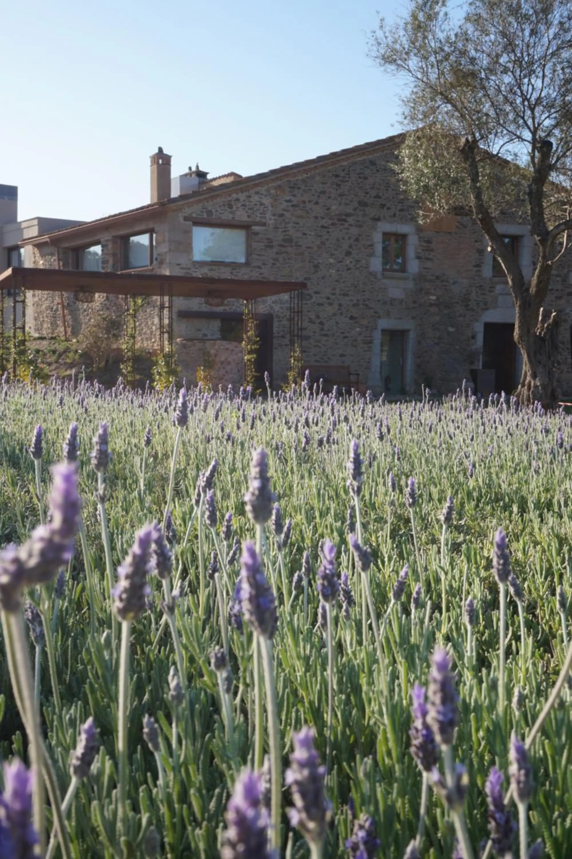 Property building in Hotel Mas del Sol