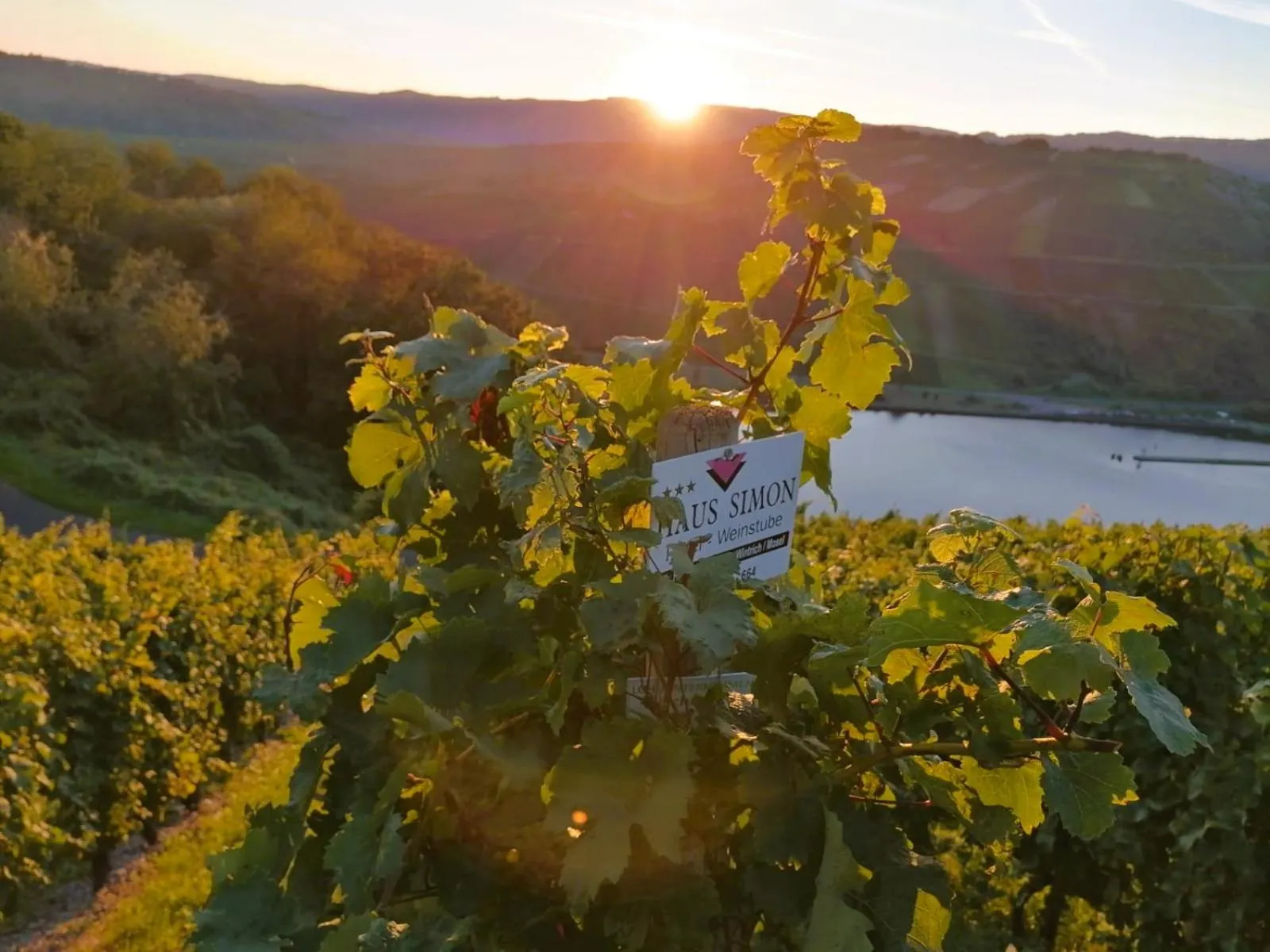 Off site in Moselhotel Weinhaus Simon `Sauna`Restaurant`ELadesäule