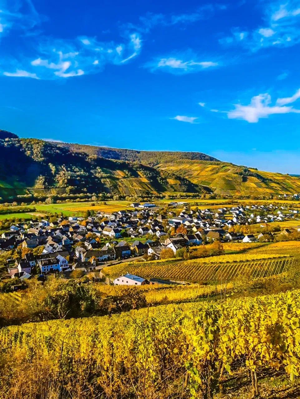 Nearby landmark in Moselhotel Weinhaus Simon `Sauna`Restaurant`ELadesäule