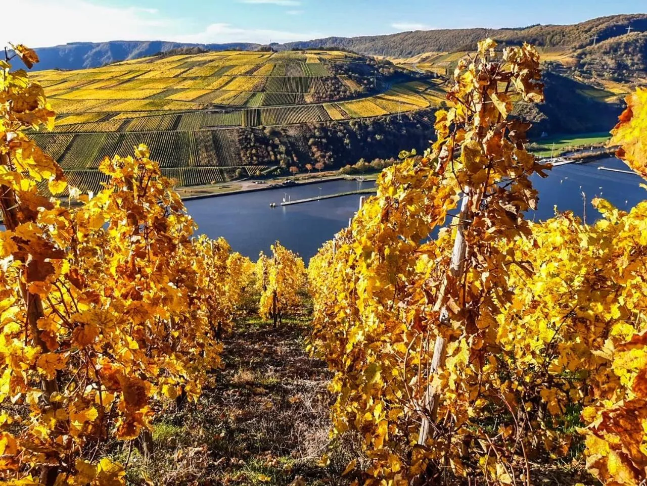 Nearby landmark in Moselhotel Weinhaus Simon `Sauna`Restaurant`ELadesäule