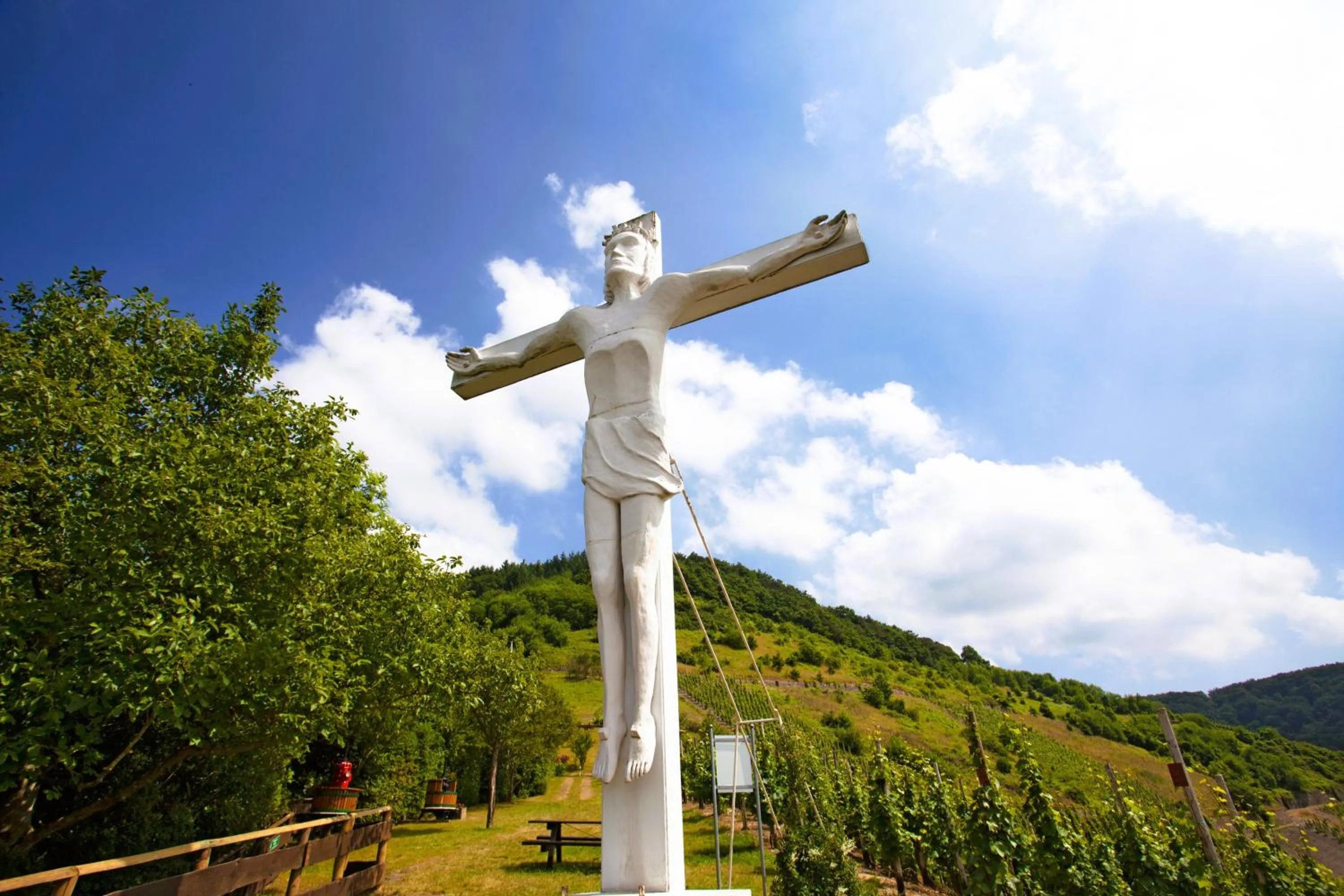 Area and facilities in Moselhotel Weinhaus Simon `Sauna`Restaurant`ELadesäule