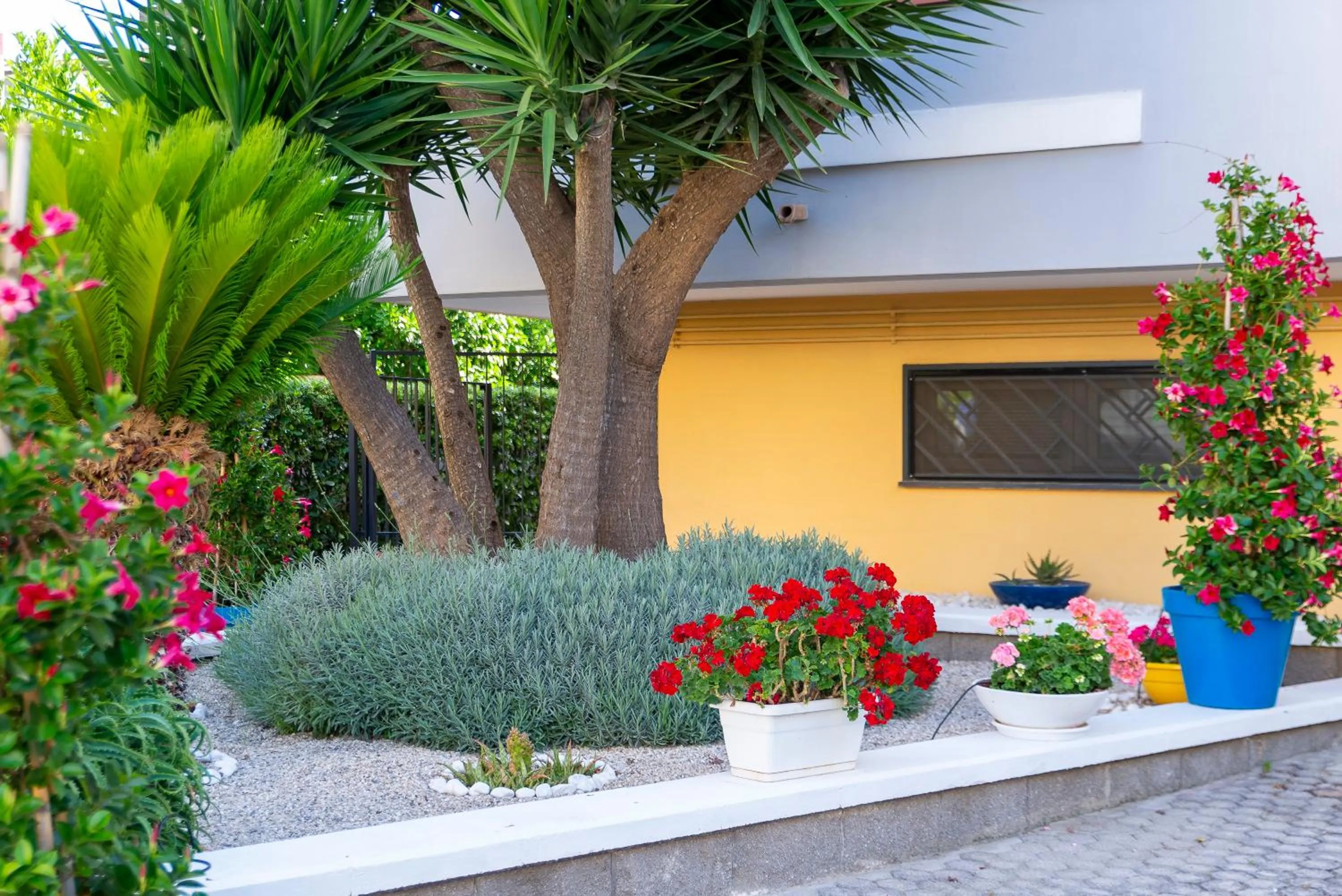 Garden in Bed and Breakfast Marlè