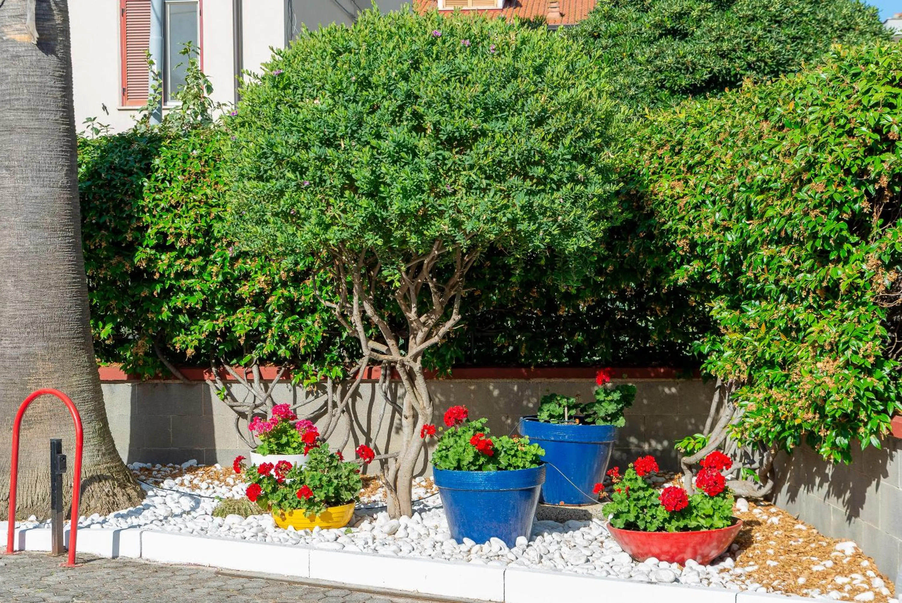 Garden in Bed and Breakfast Marlè