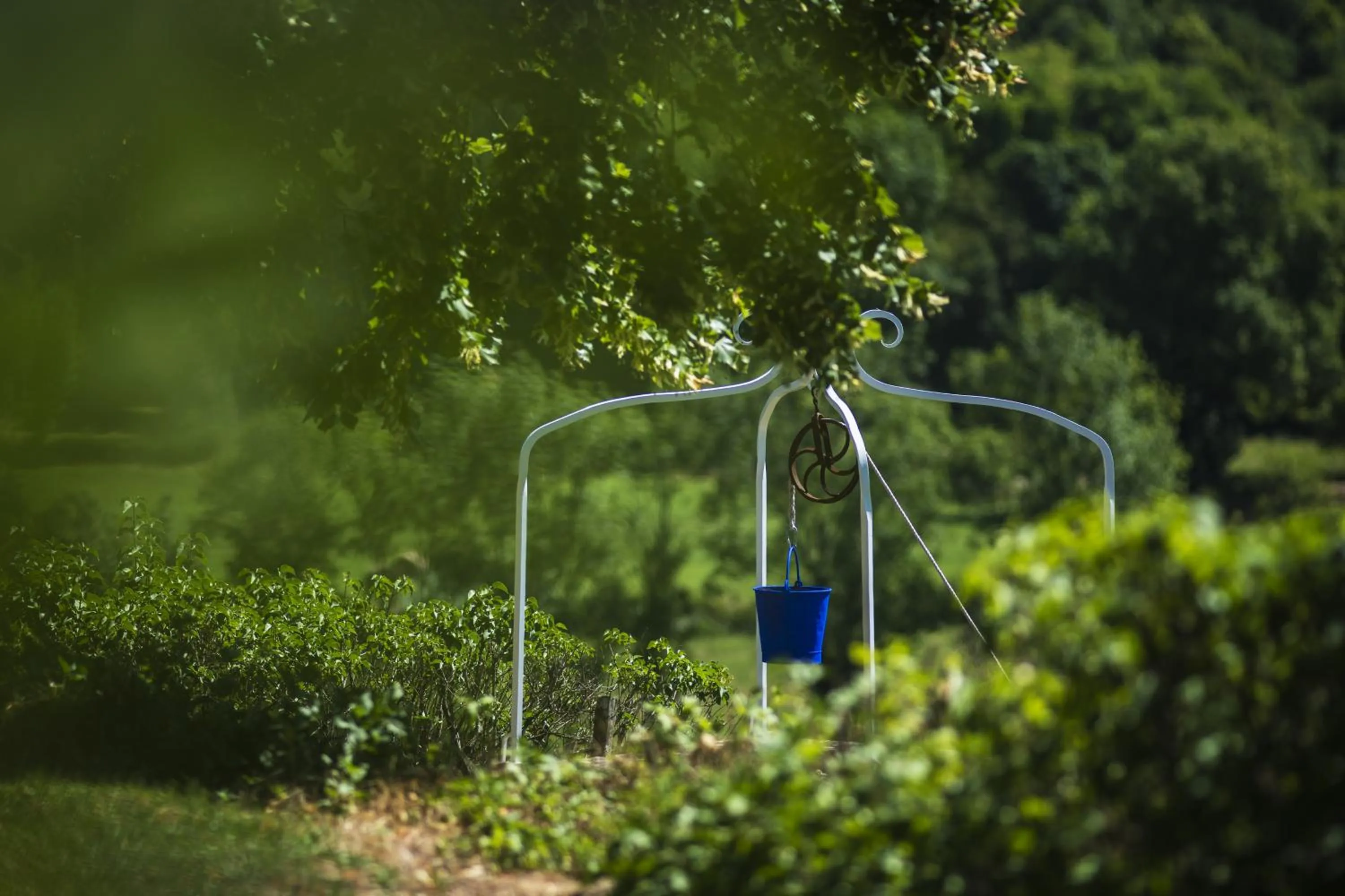 Garden in Le Domaine des Carriers - Gites