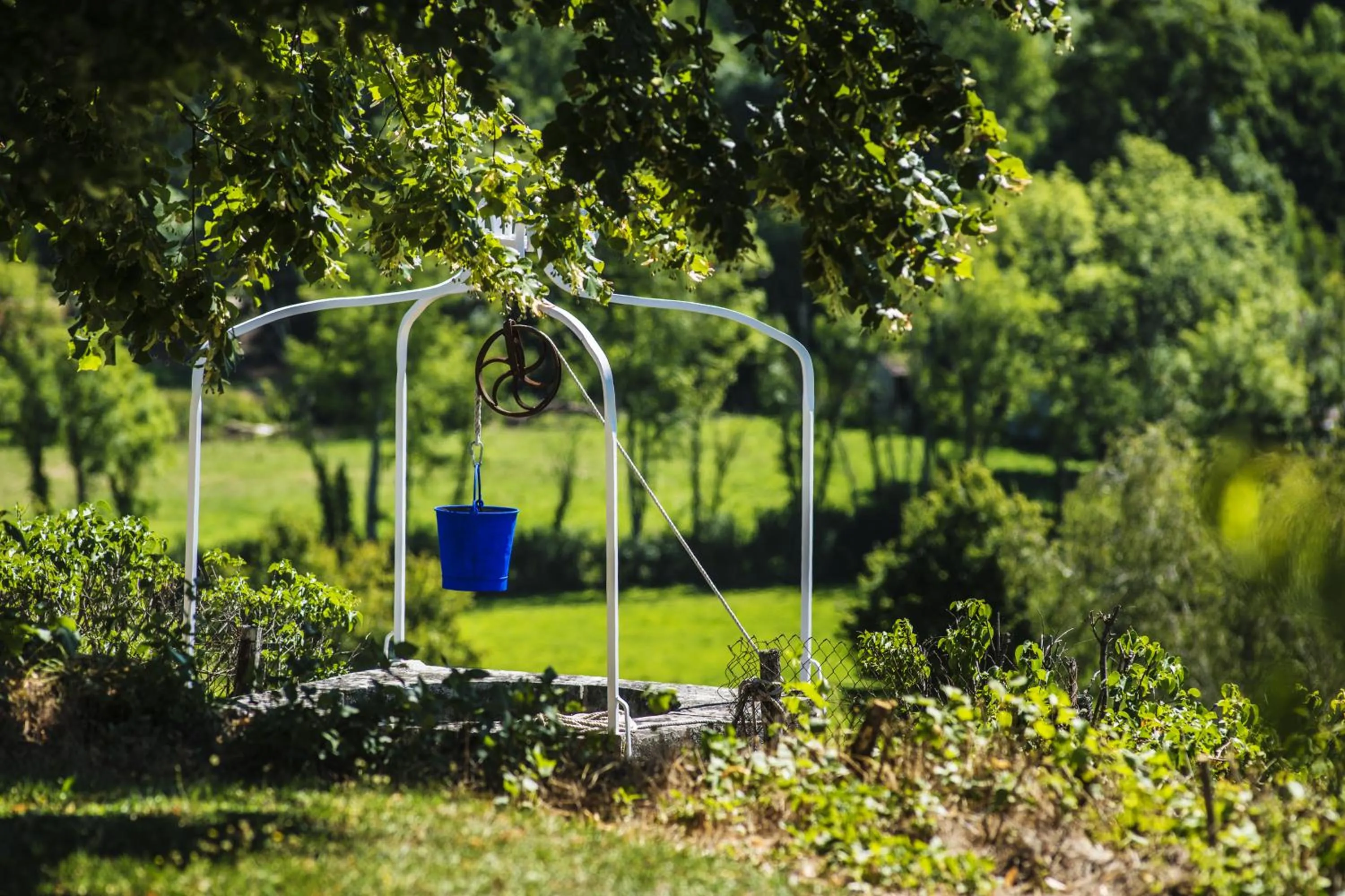 Garden in Le Domaine des Carriers - Gites