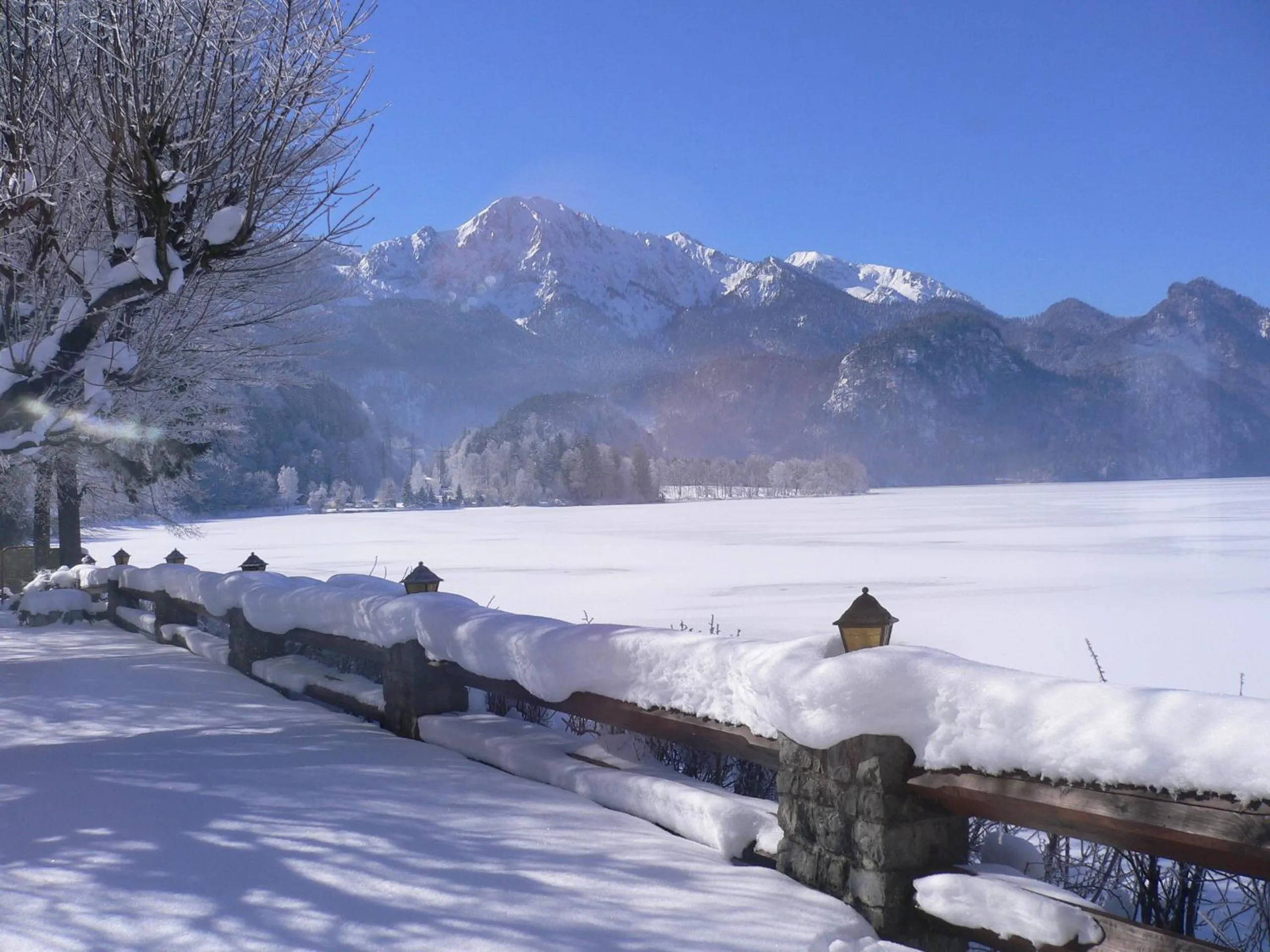 Area and facilities in Seehotel Grauer Bär
