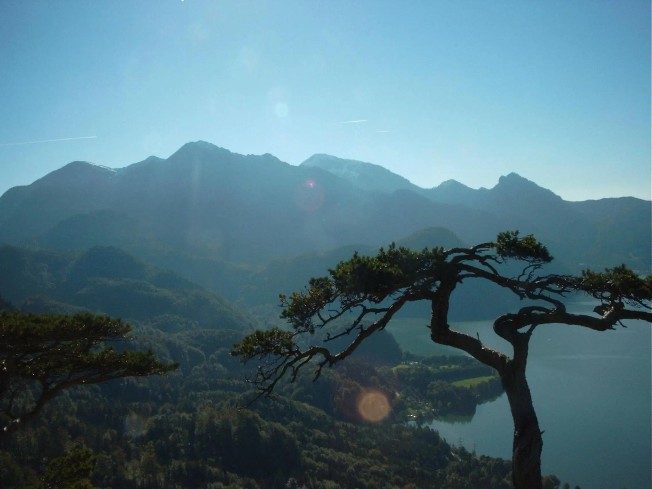 Area and facilities in Seehotel Grauer Bär