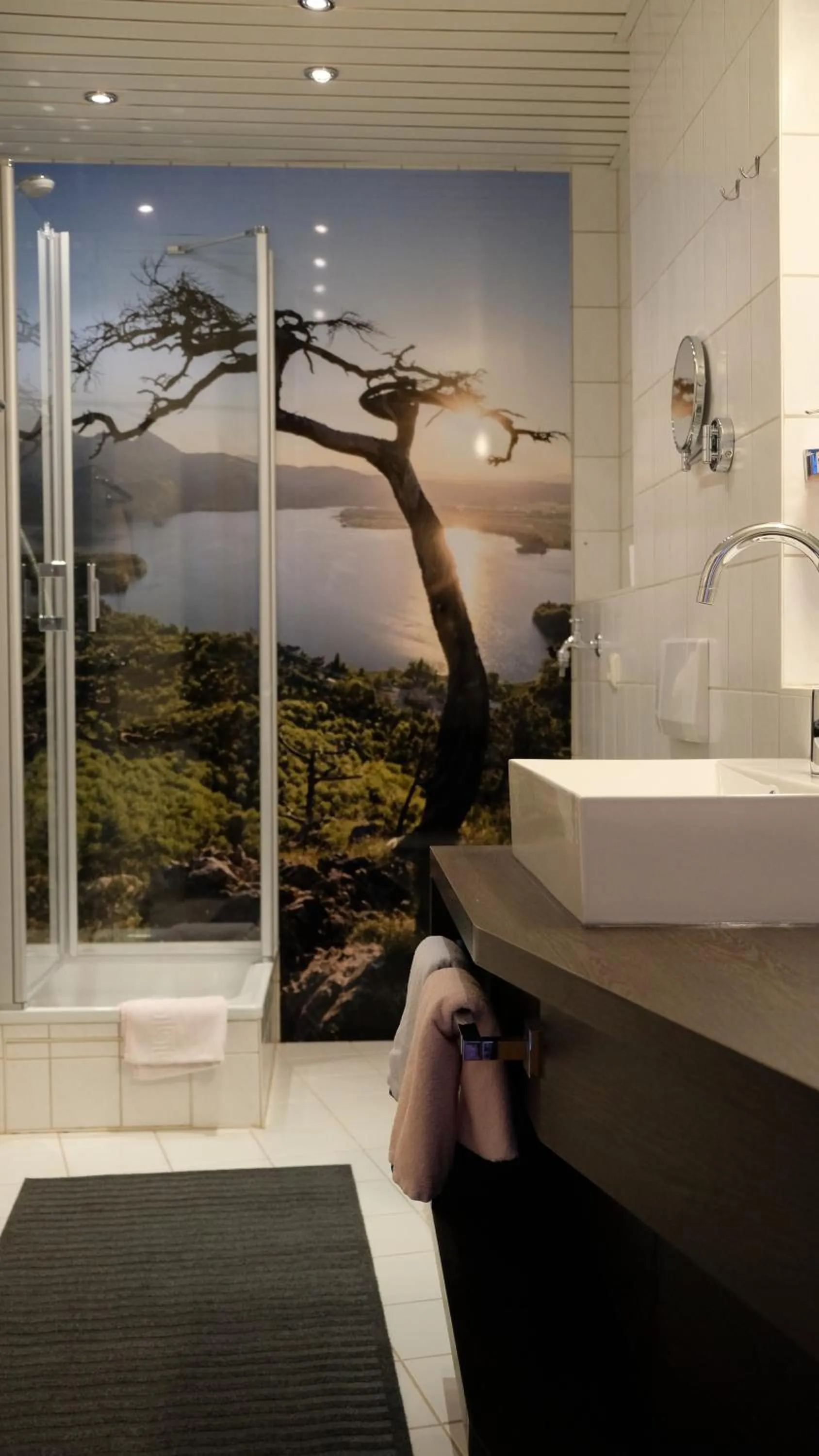 Shower in Seehotel Grauer Bär