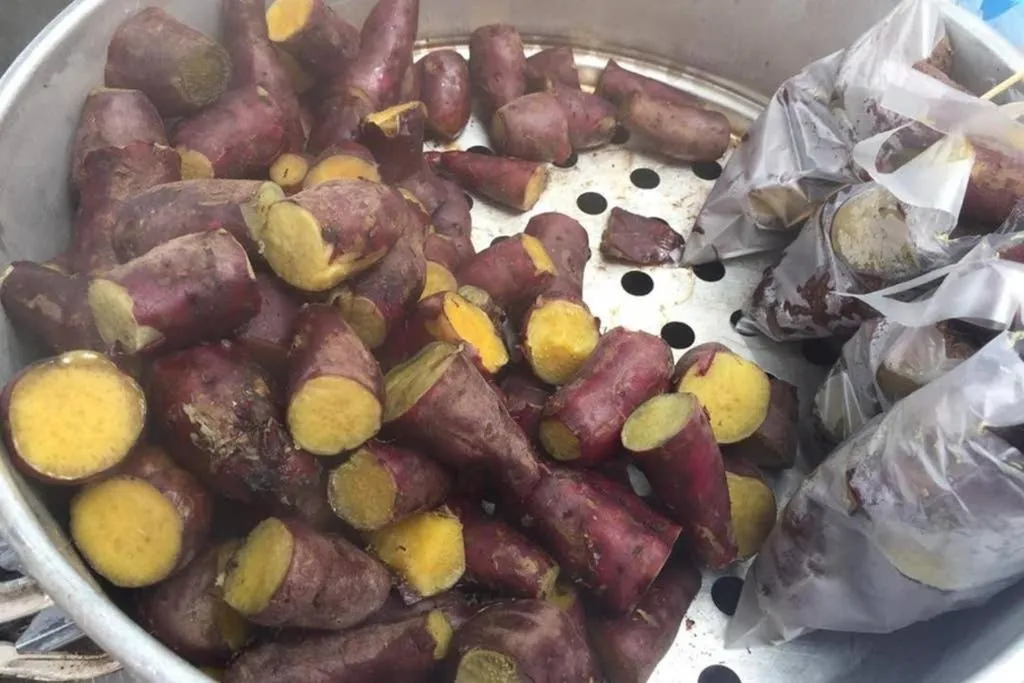 Lily Homestay Barrington Square Cameron Highlands.