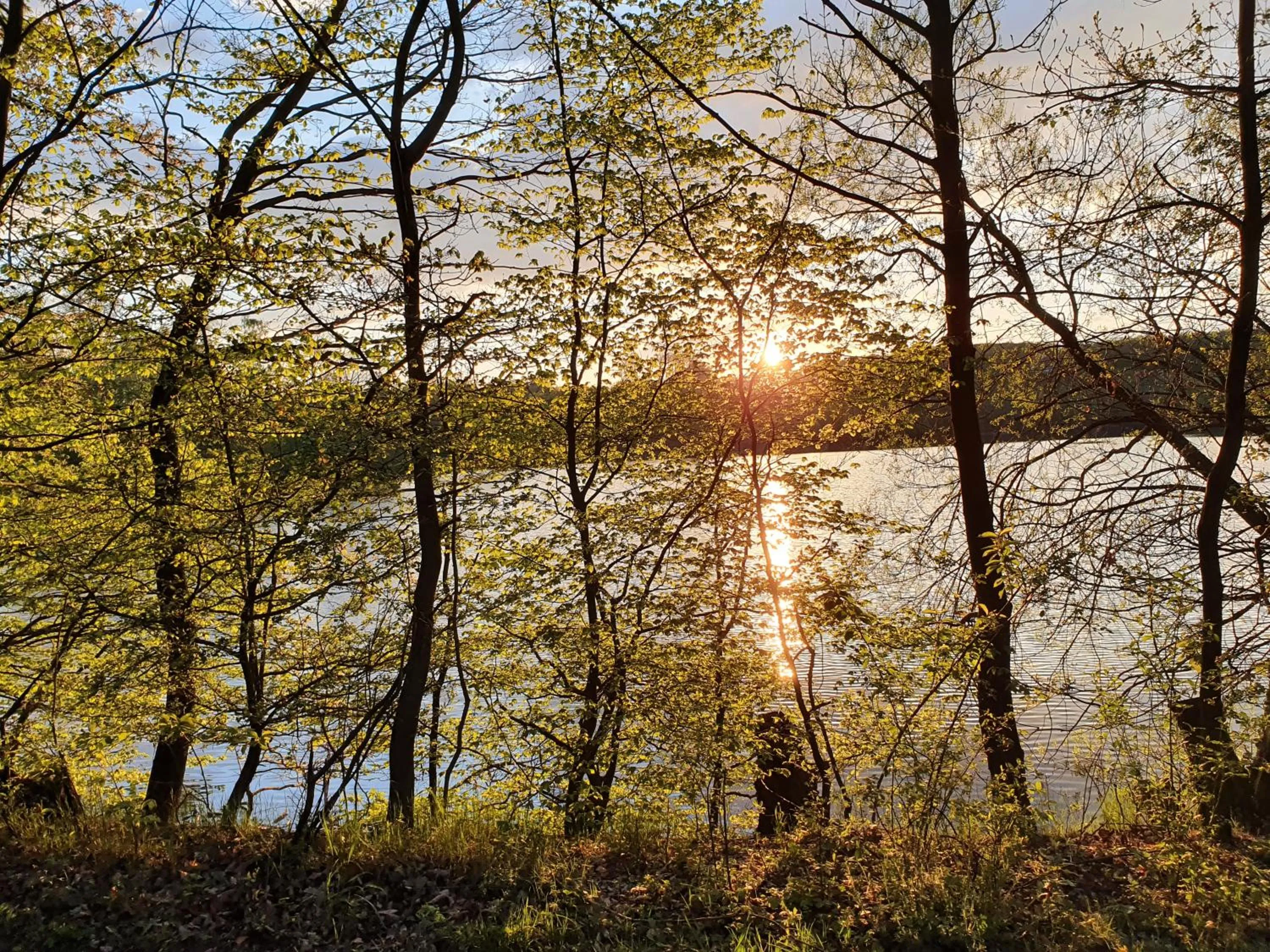 Area and facilities in Hotel zur Waage