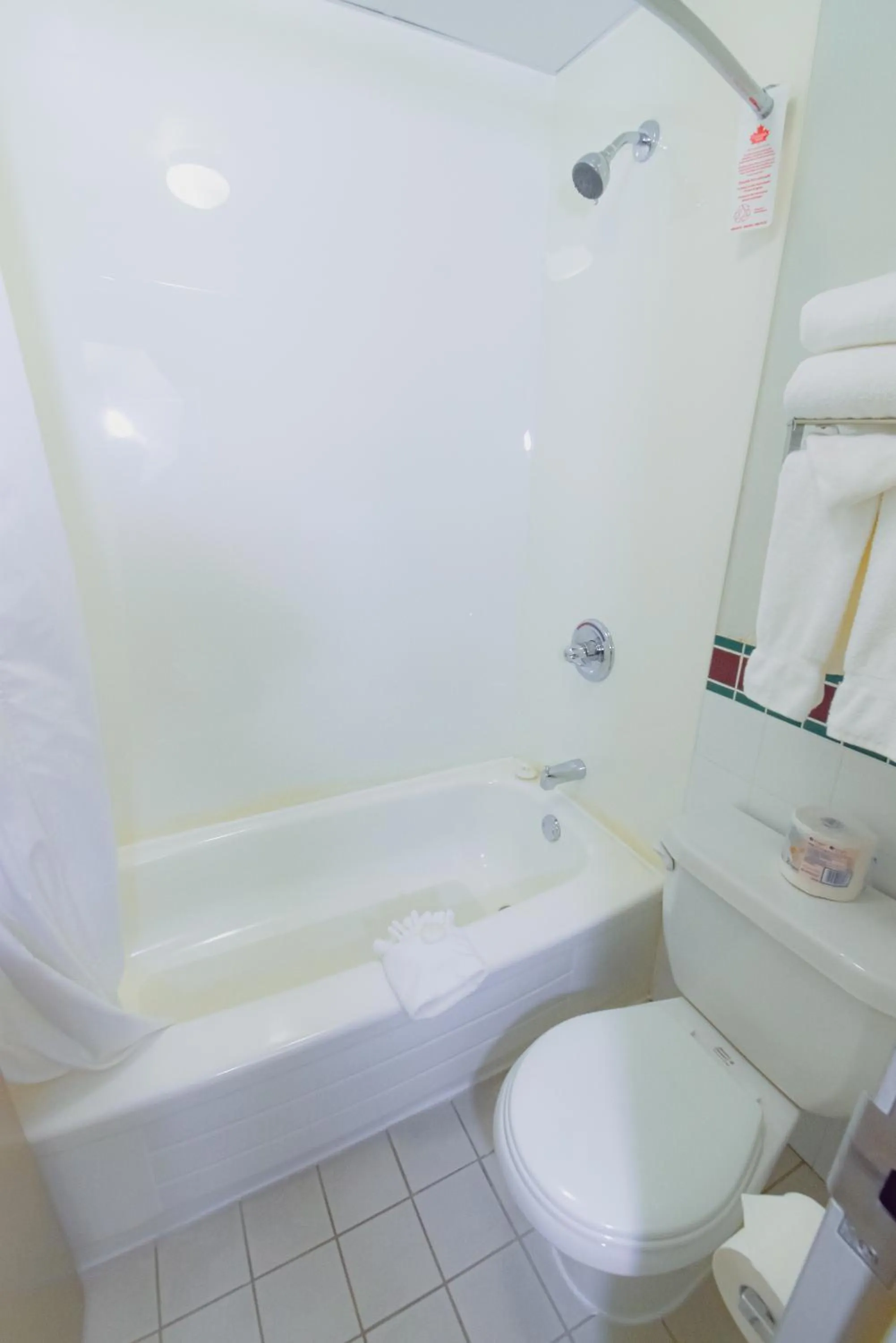 Bathroom in Canad Inns Destination Centre Windsor Park