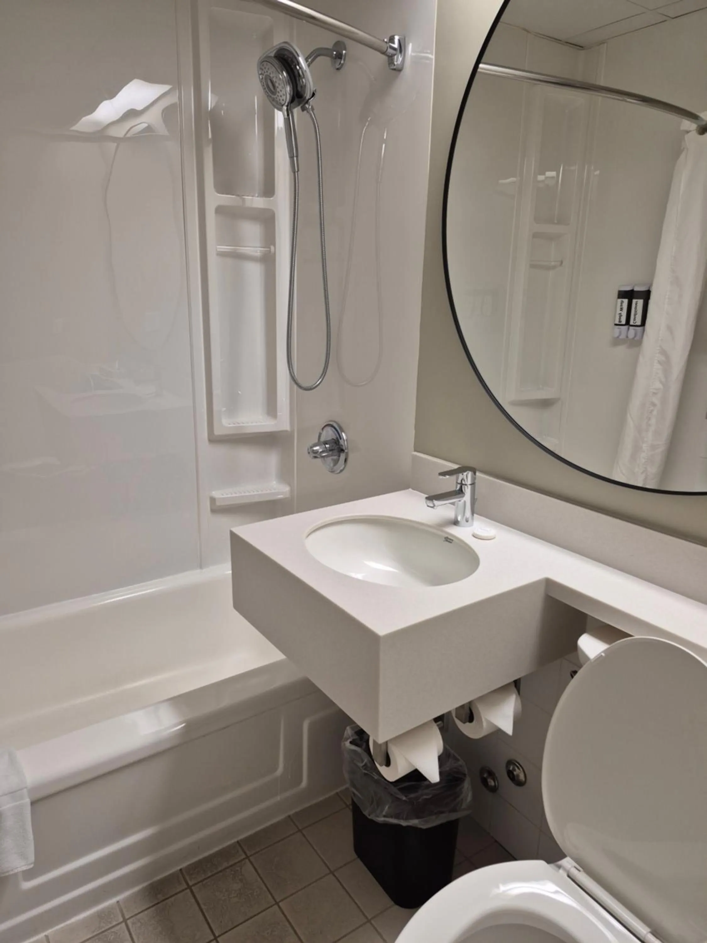 Bathroom in Canad Inns Destination Centre Windsor Park