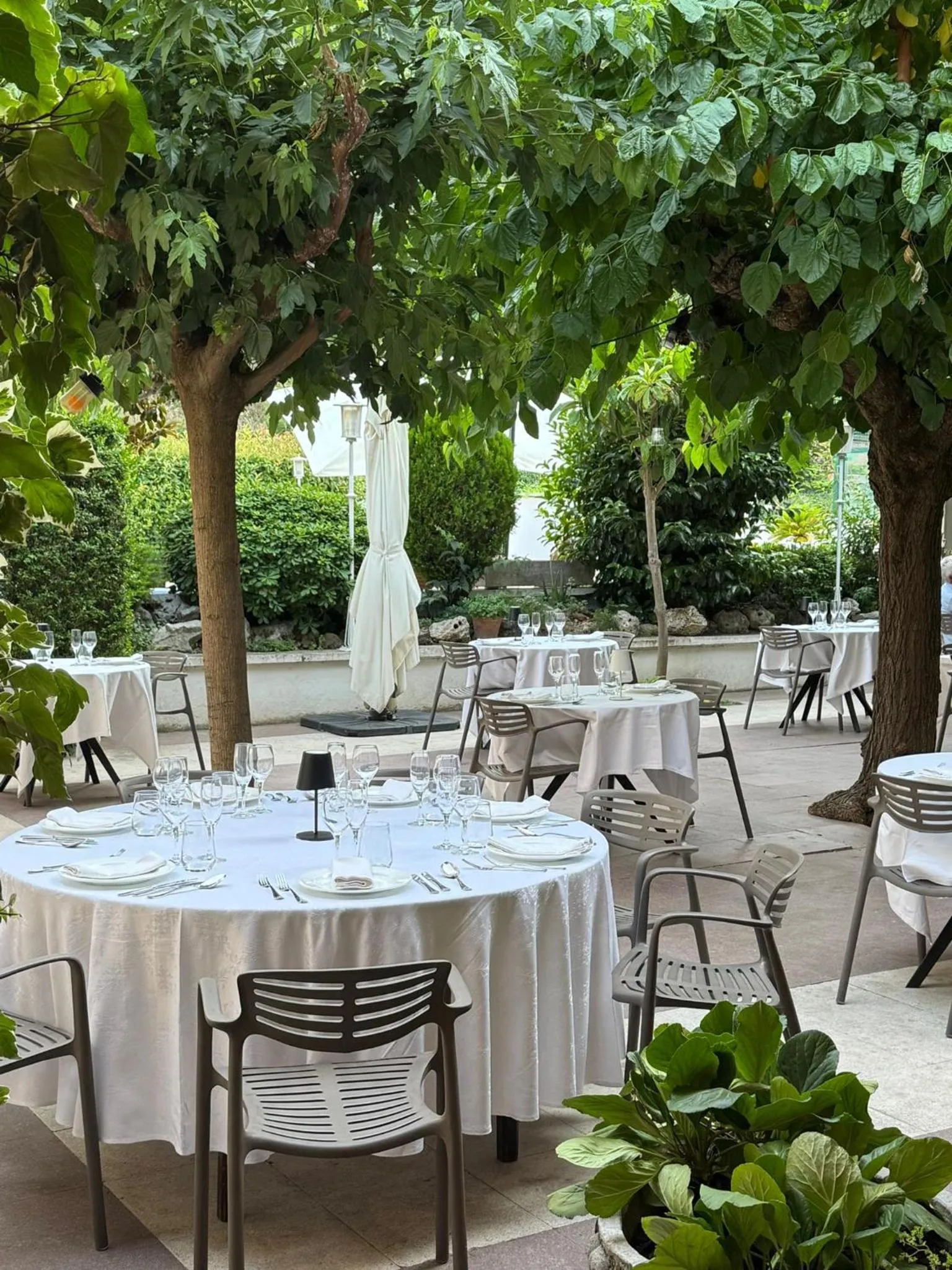 Patio in Hotel Robert