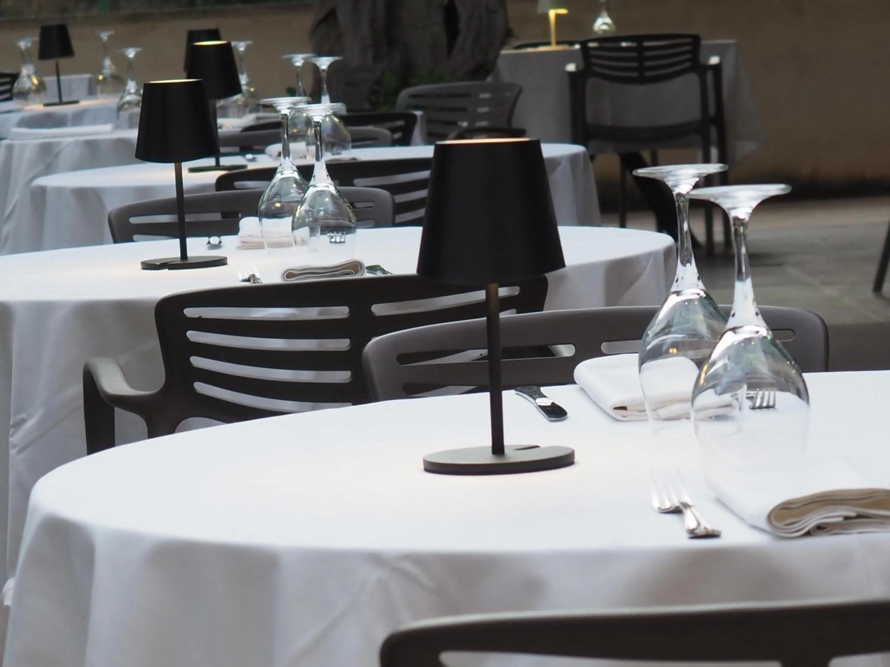 Restaurant/places to eat in Hotel Robert