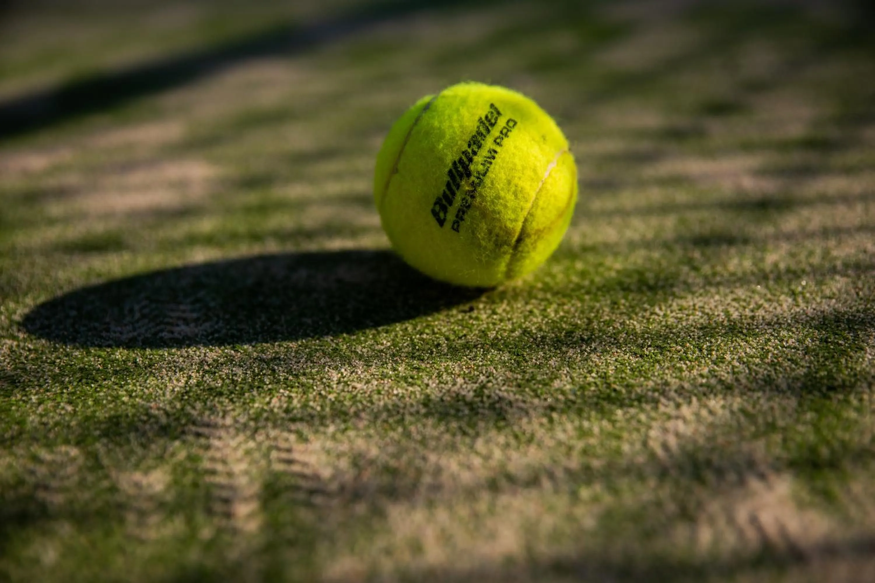 Entertainment in Hotel Robert
