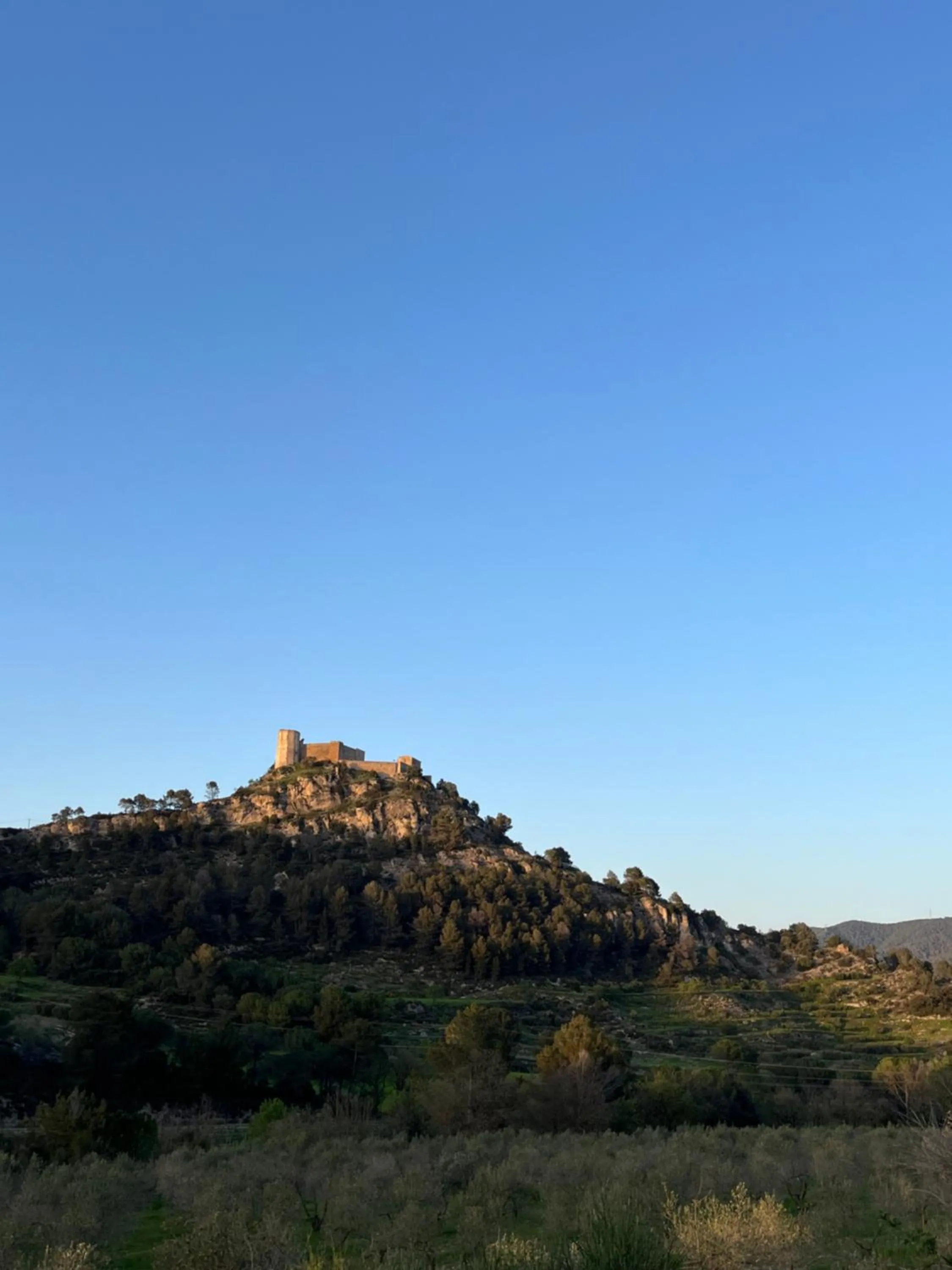 Nearby landmark in Hotel Robert