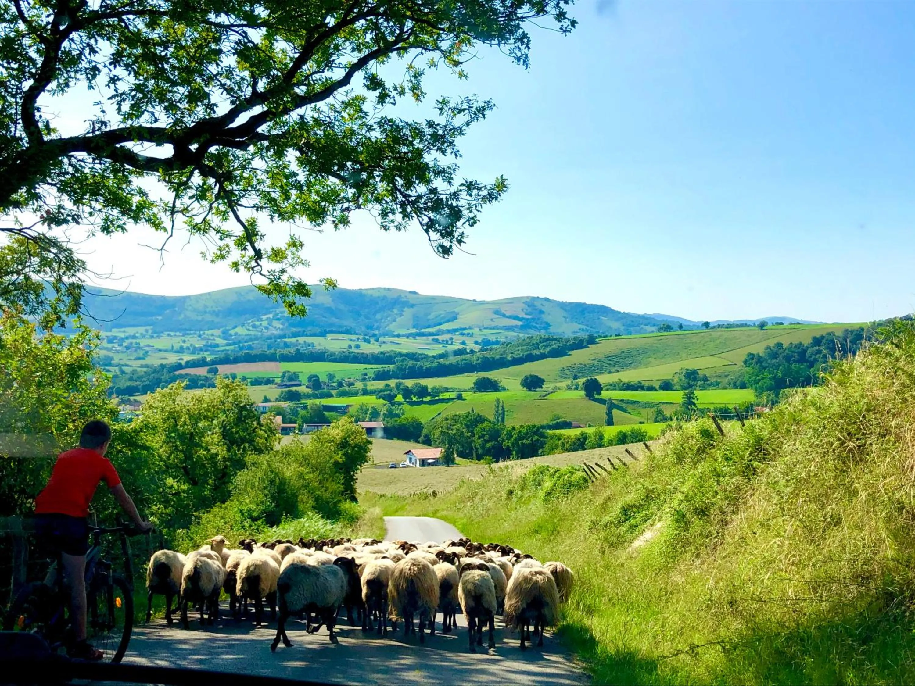 Maison " Elixondoa "